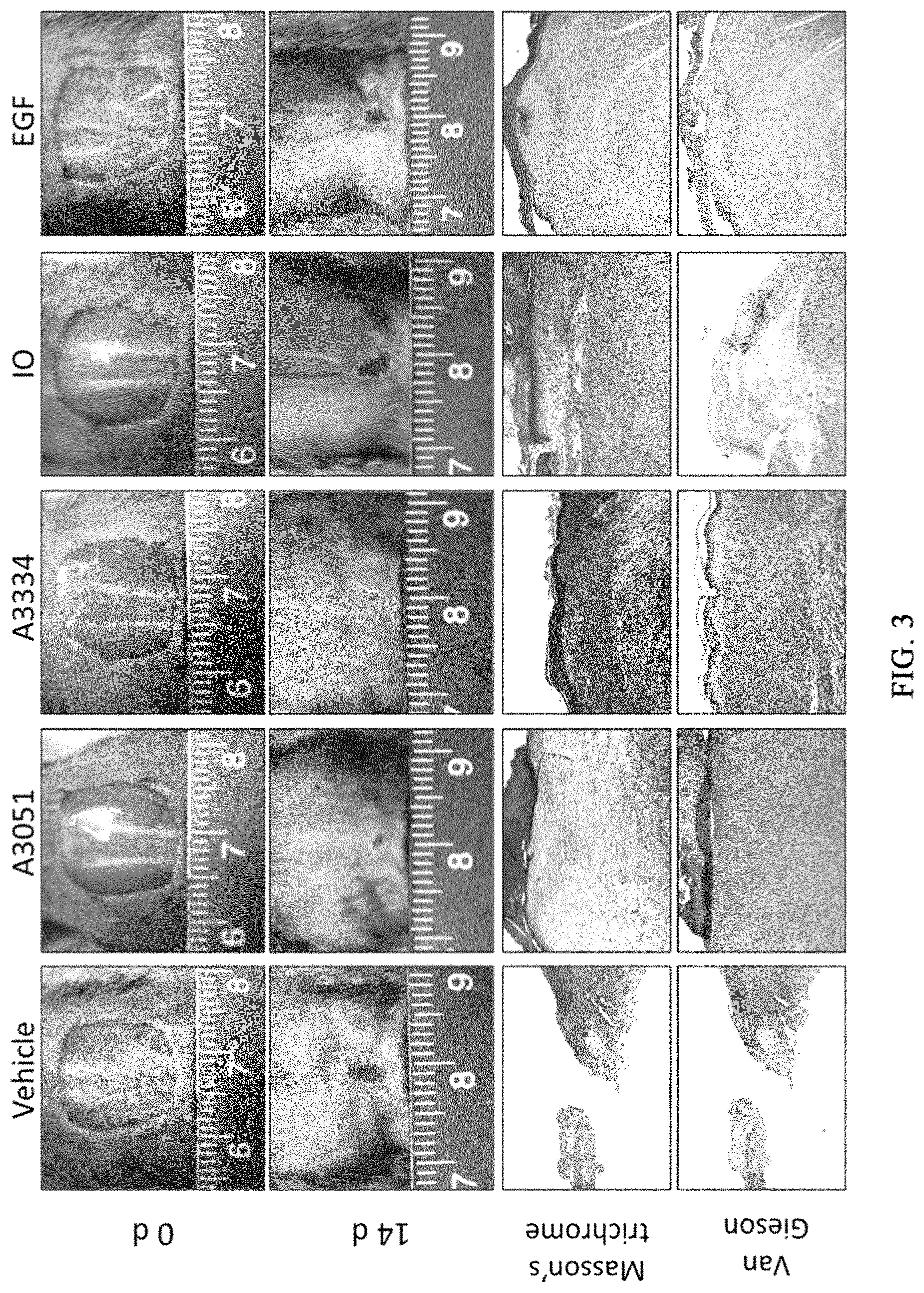 Patent US11773081 Figure 3 – Pharmaceutical composition for preventing or treating wound, comprising indirubin derivative as active ingredient