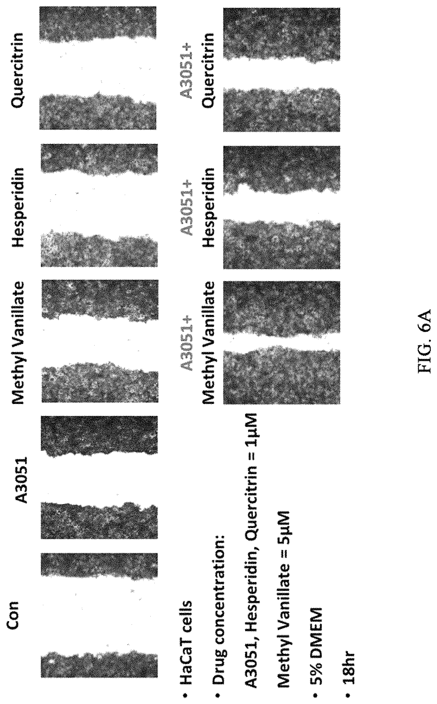 Patent US11773081 Figure 5 – Pharmaceutical composition for preventing or treating wound, comprising indirubin derivative as active ingredient