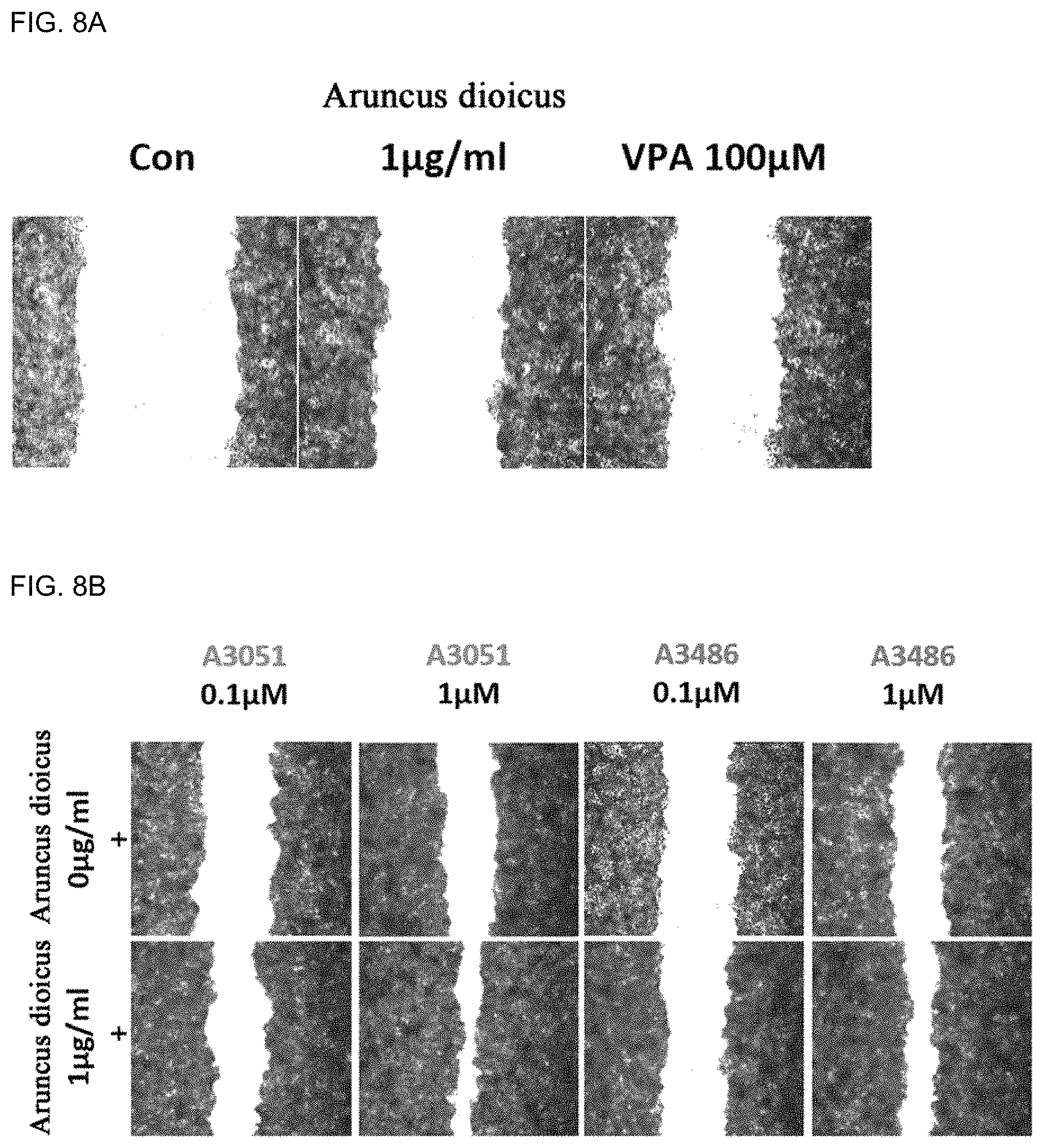 Patent US11773081 Figure 8 – Pharmaceutical composition for preventing or treating wound, comprising indirubin derivative as active ingredient
