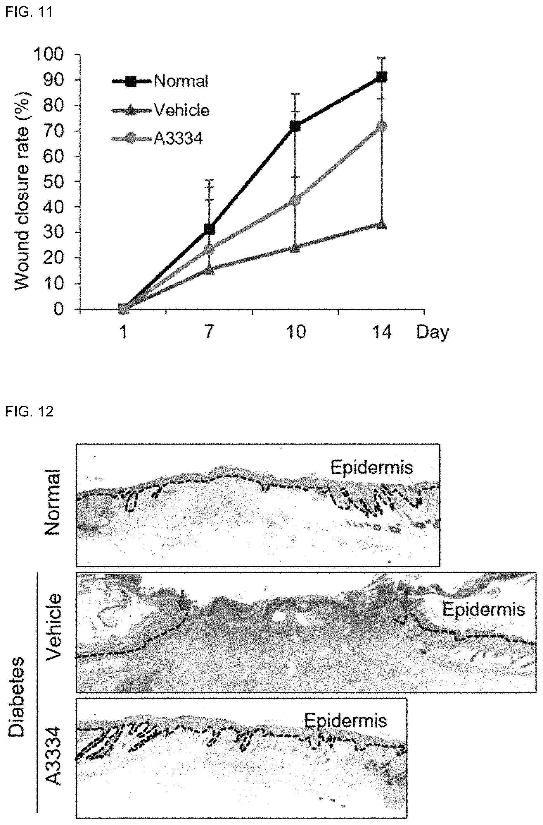 Patent US11773081 Figure 14 – Pharmaceutical composition for preventing or treating wound, comprising indirubin derivative as active ingredient