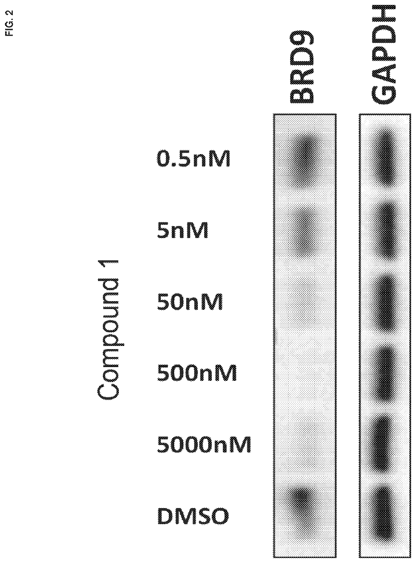 Patent US11773085 Figure 2 – Methods and compounds for treating disorders