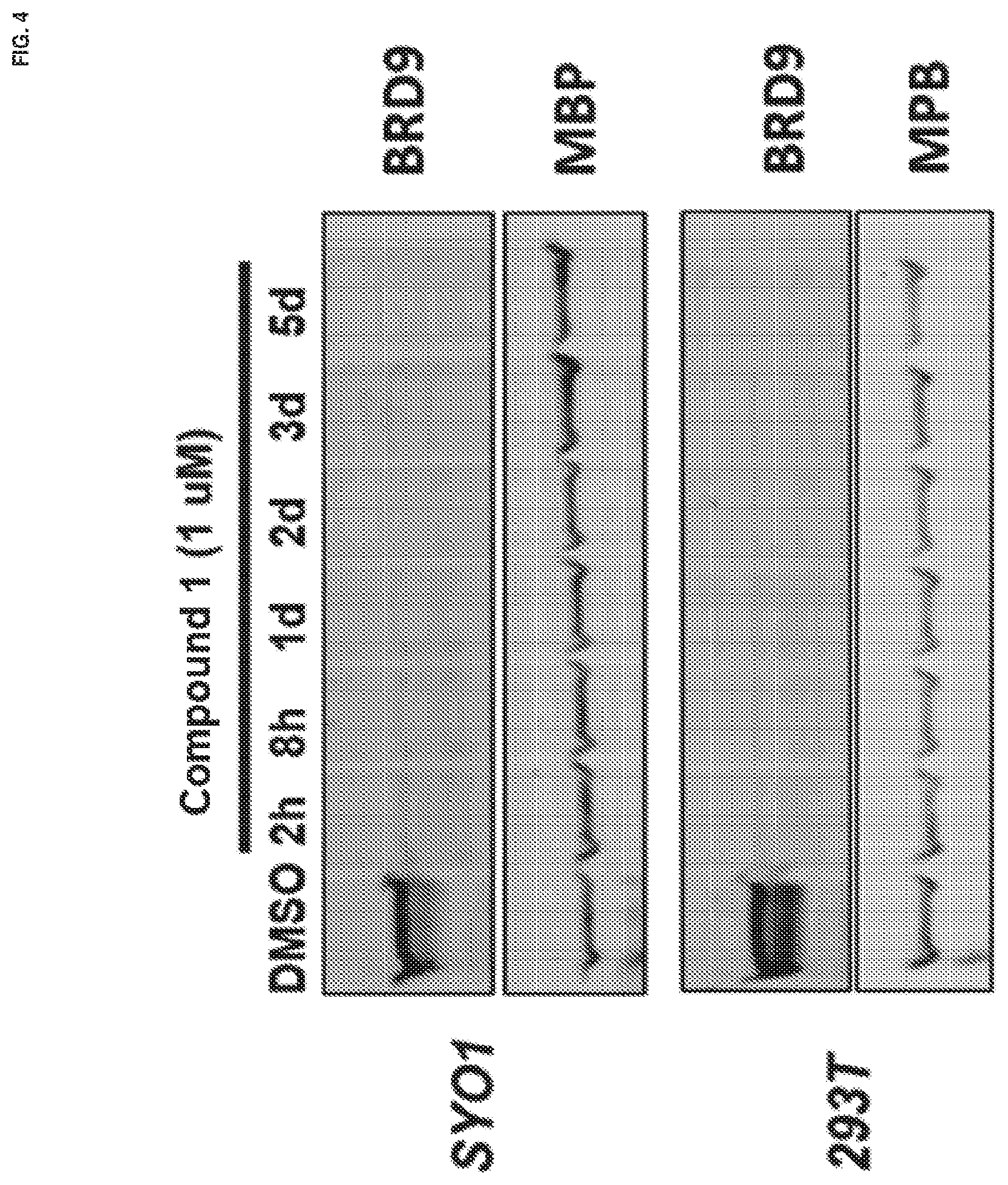 Patent US11773085 Figure 4 – Methods and compounds for treating disorders
