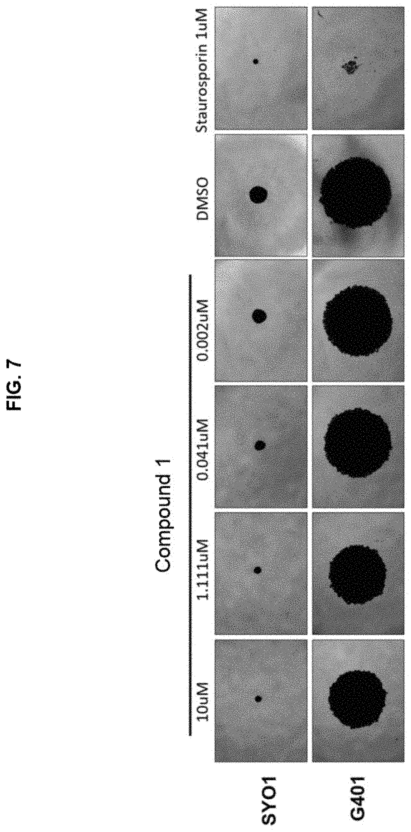 Patent US11773085 Figure 7 – Methods and compounds for treating disorders