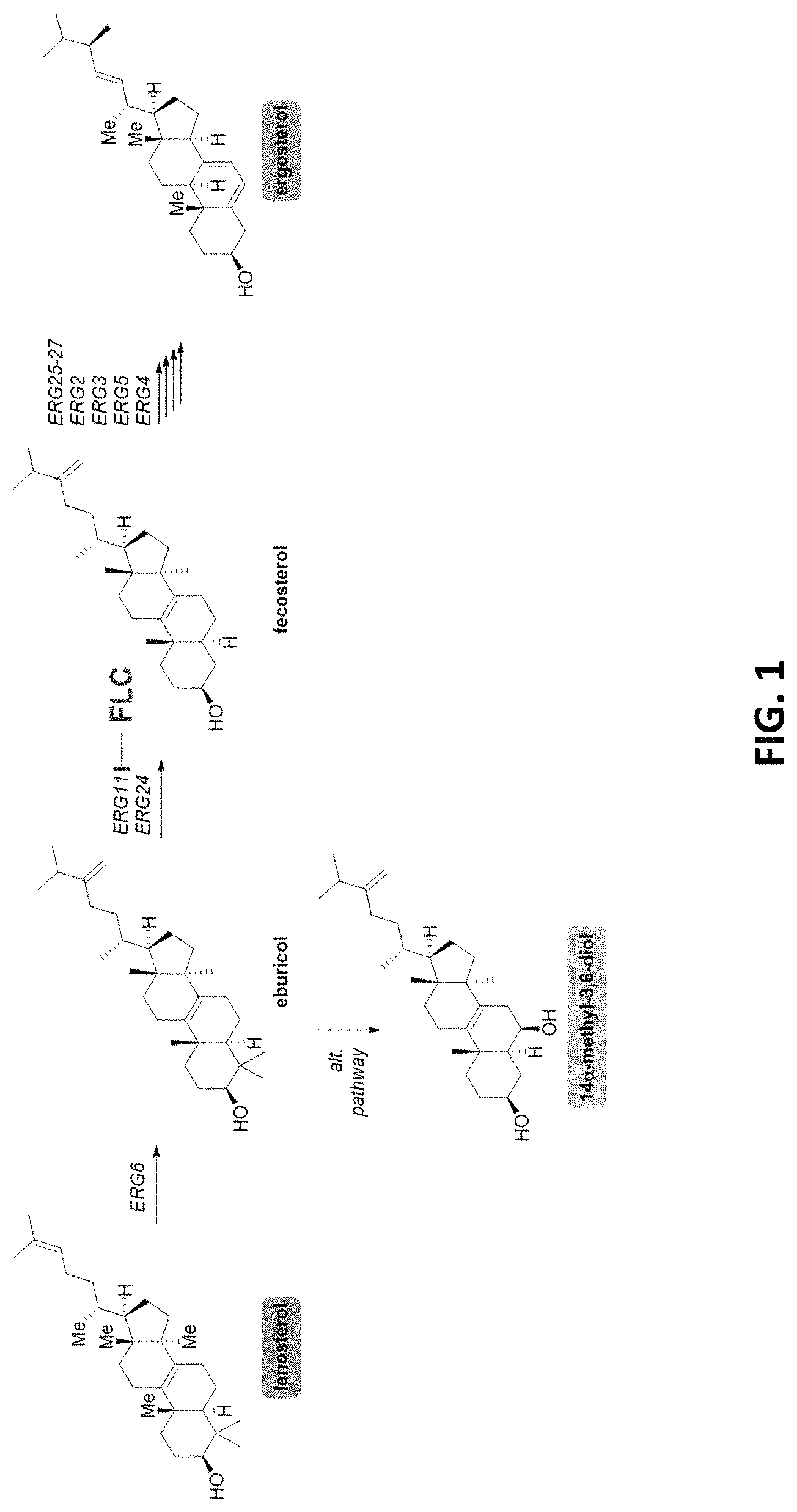 Patent US11773086 Figure 1 – Fungal modulators