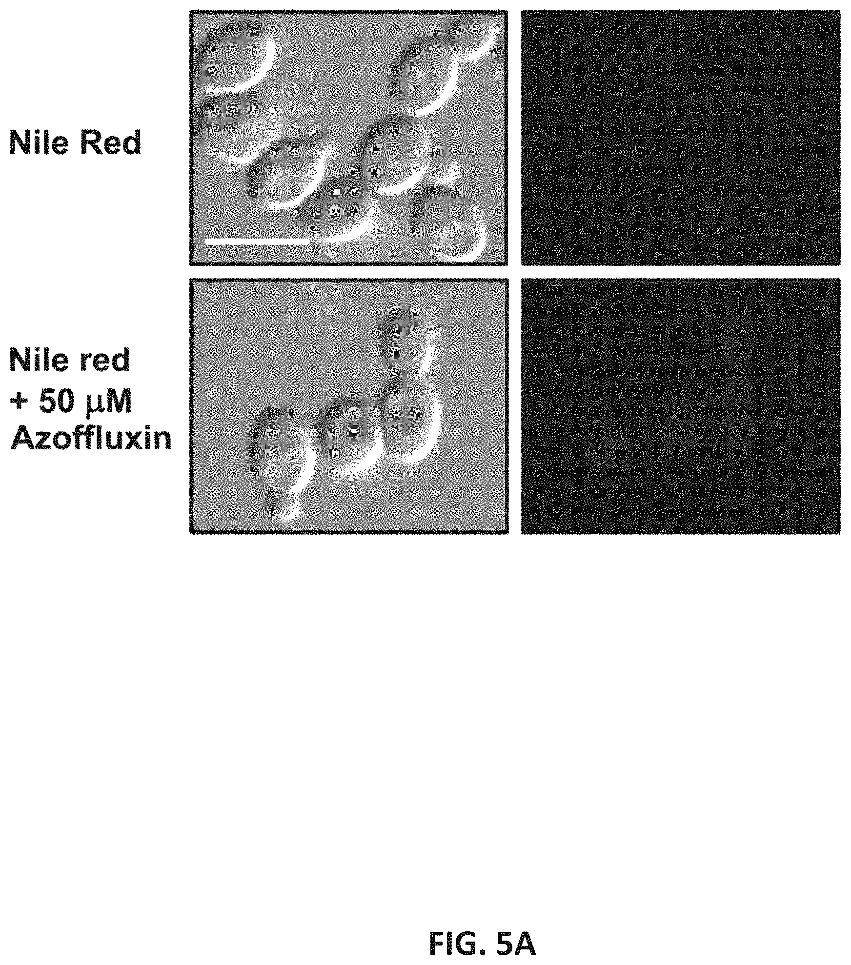Patent US11773086 Figure 7 – Fungal modulators