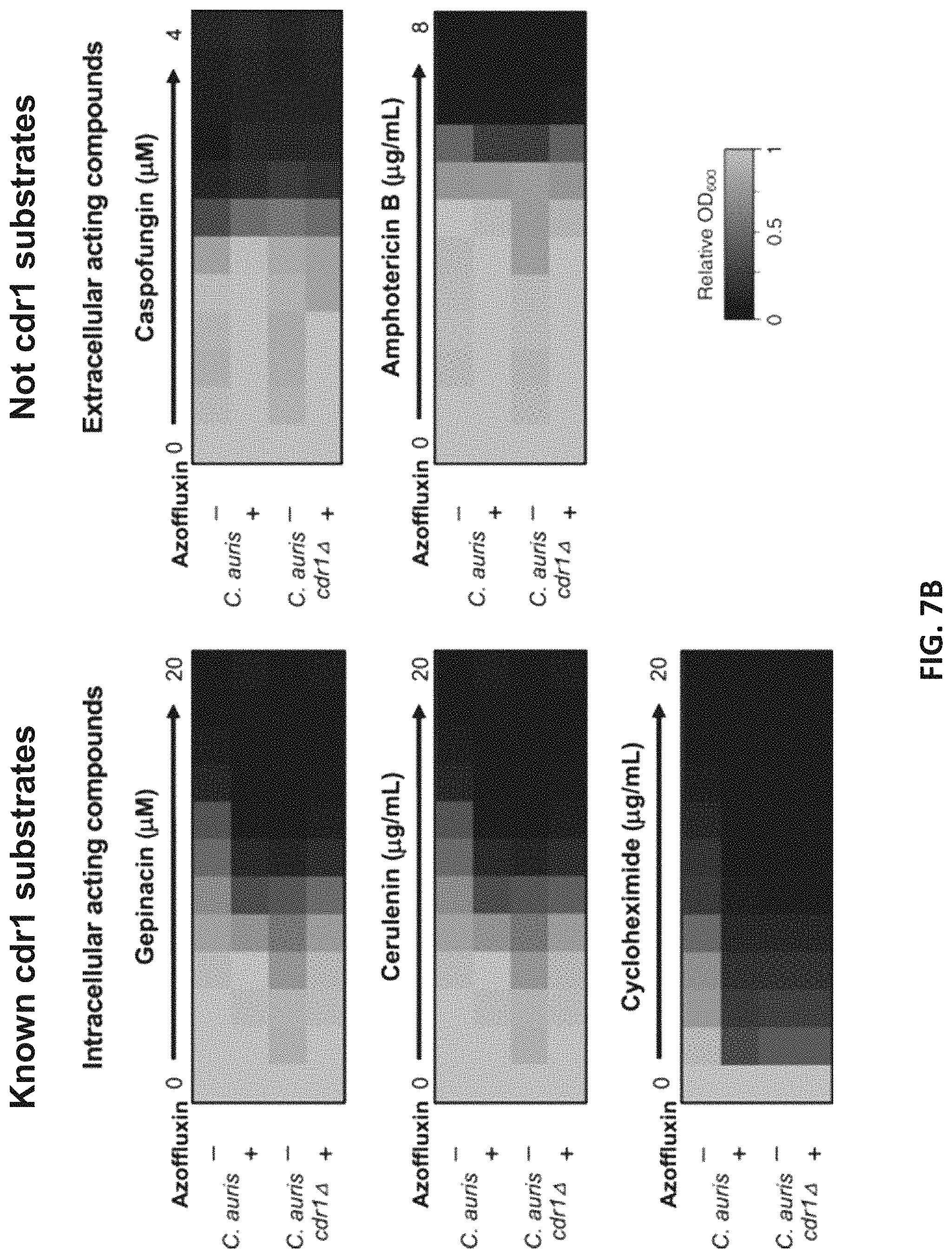 Patent US11773086 Figure 11 – Fungal modulators