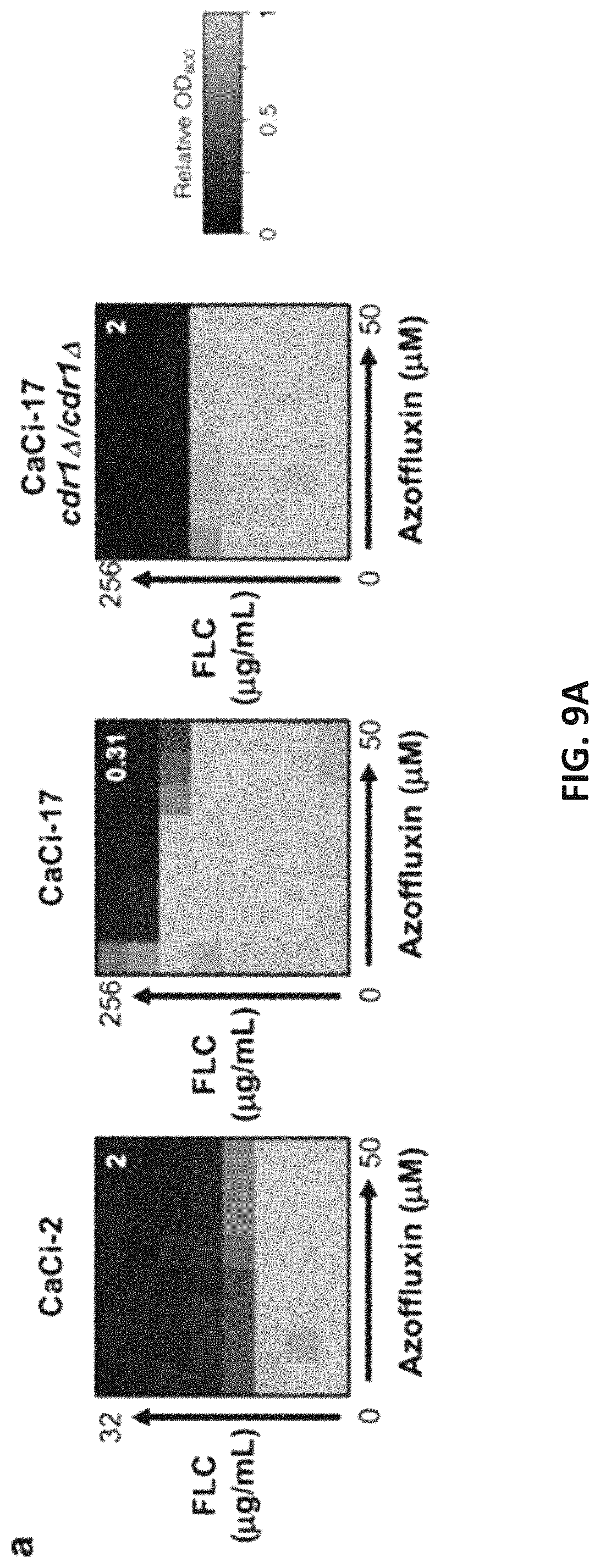 Patent US11773086 Figure 17 – Fungal modulators