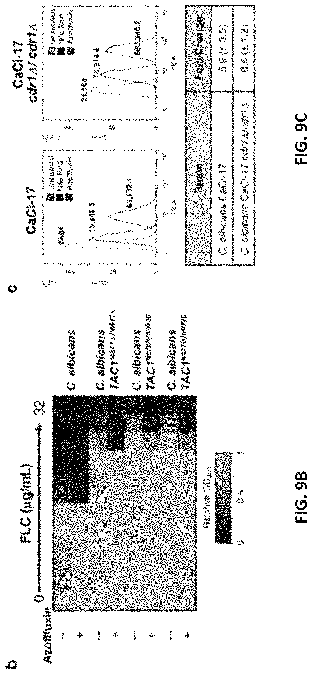 Patent US11773086 Figure 18 – Fungal modulators