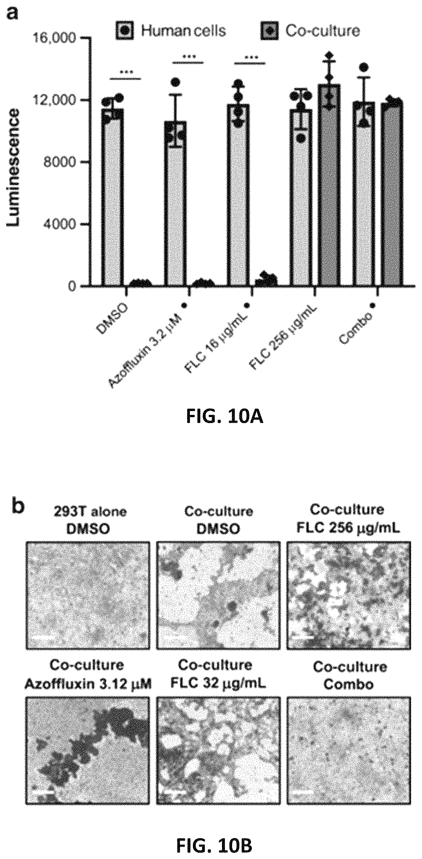 Patent US11773086 Figure 20 – Fungal modulators