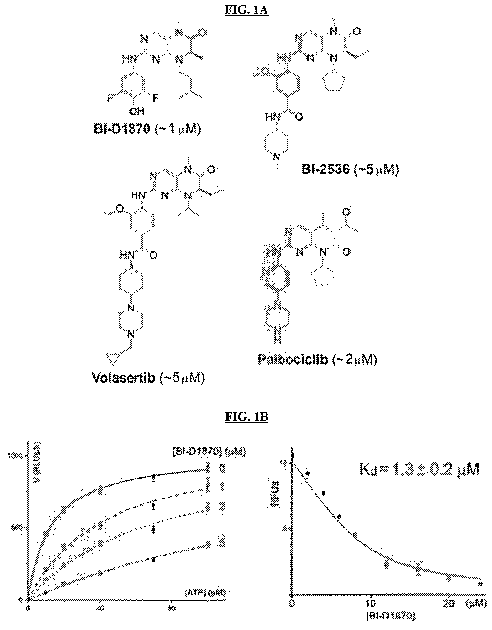 Patent US11773096 Figure 1 – Small-molecule PI5P4K alpha/beta inhibitors and methods of treatment using same