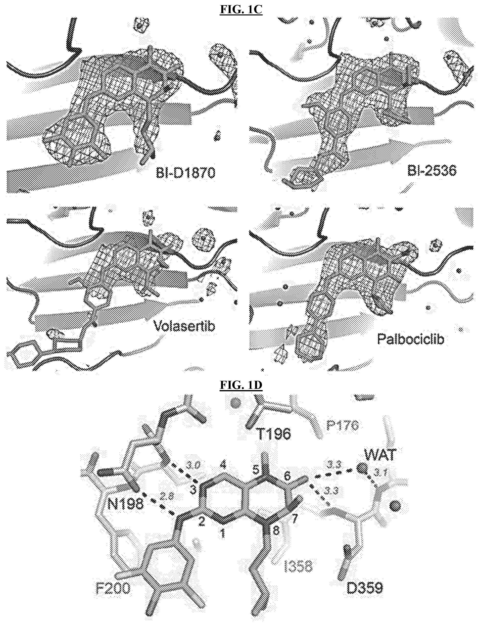 Patent US11773096 Figure 2 – Small-molecule PI5P4K alpha/beta inhibitors and methods of treatment using same