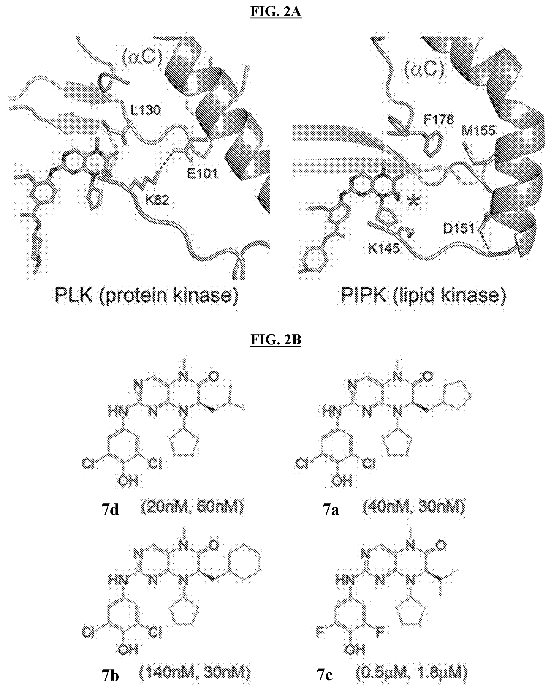 Patent US11773096 Figure 3 – Small-molecule PI5P4K alpha/beta inhibitors and methods of treatment using same