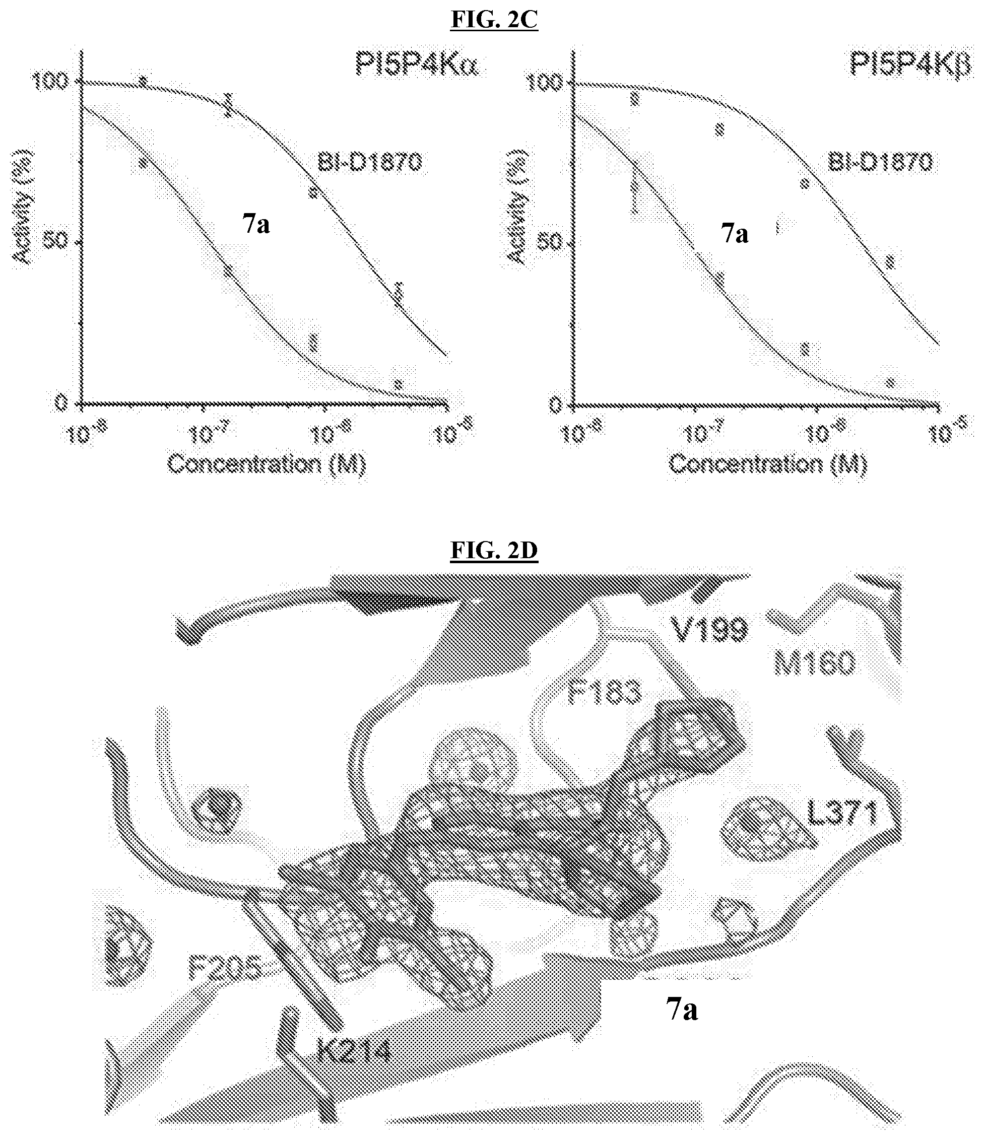Patent US11773096 Figure 4 – Small-molecule PI5P4K alpha/beta inhibitors and methods of treatment using same