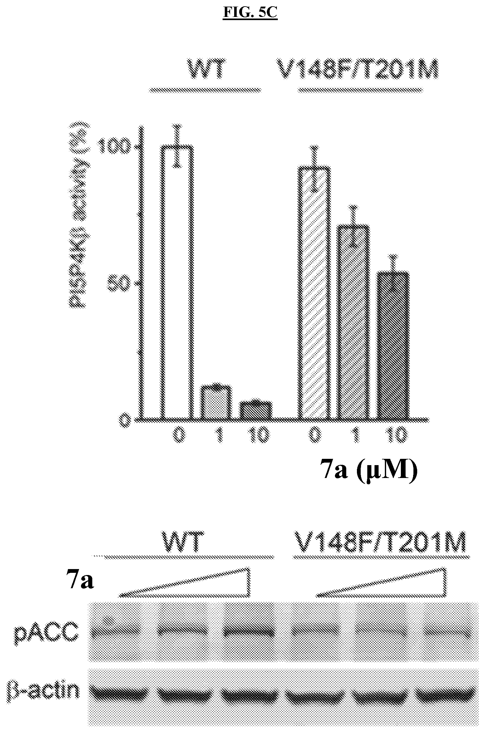 Patent US11773096 Figure 10 – Small-molecule PI5P4K alpha/beta inhibitors and methods of treatment using same