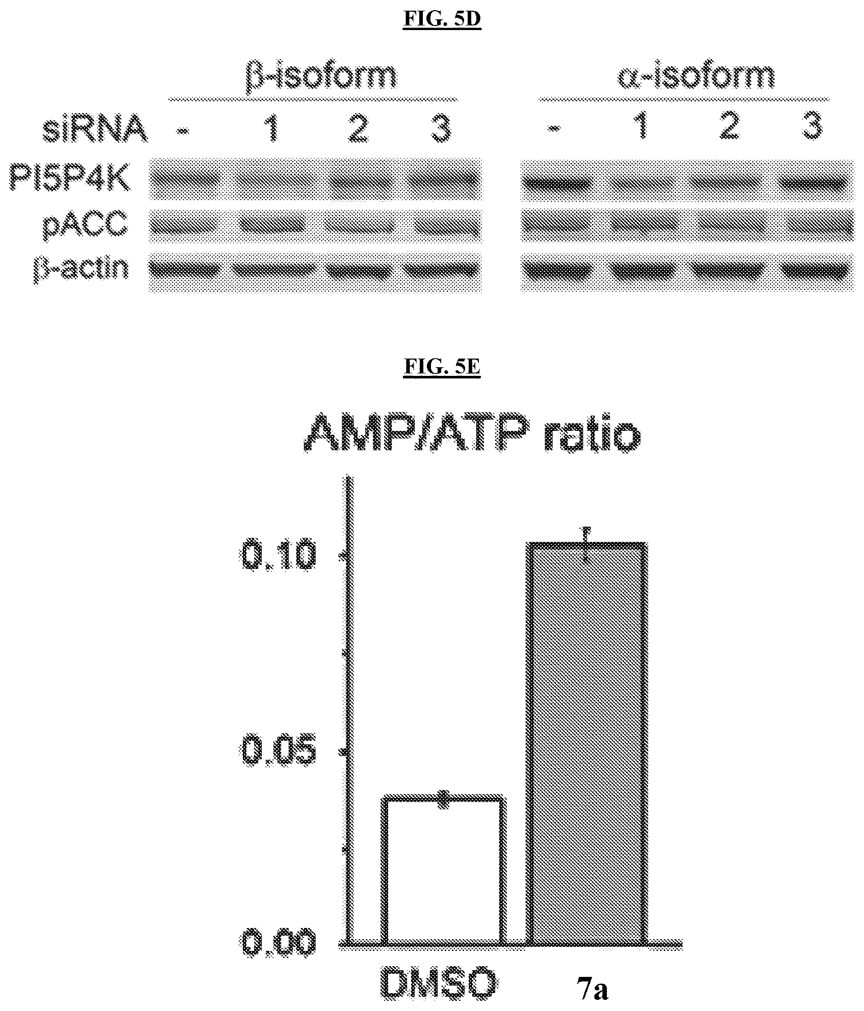 Patent US11773096 Figure 11 – Small-molecule PI5P4K alpha/beta inhibitors and methods of treatment using same