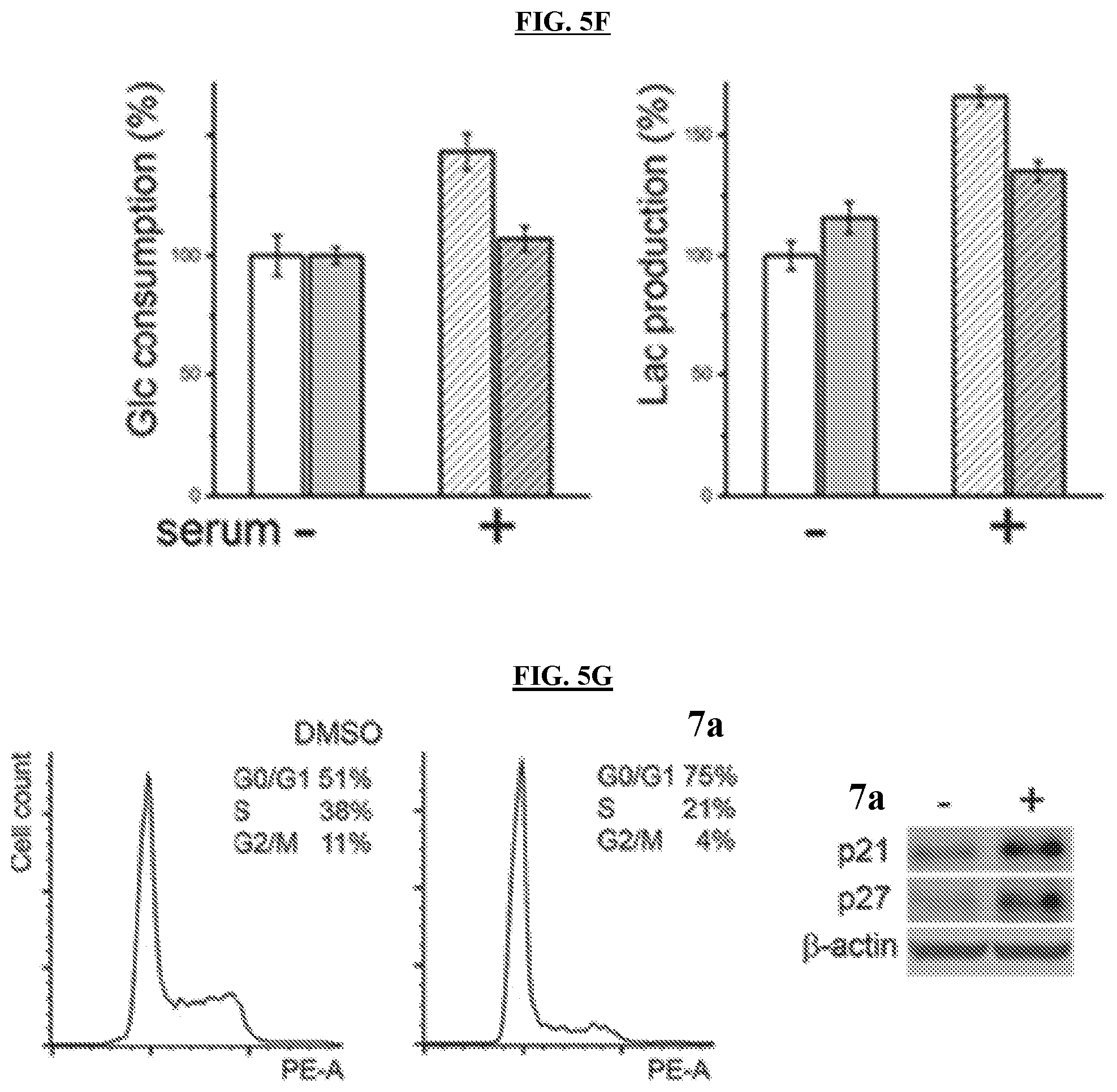 Patent US11773096 Figure 12 – Small-molecule PI5P4K alpha/beta inhibitors and methods of treatment using same