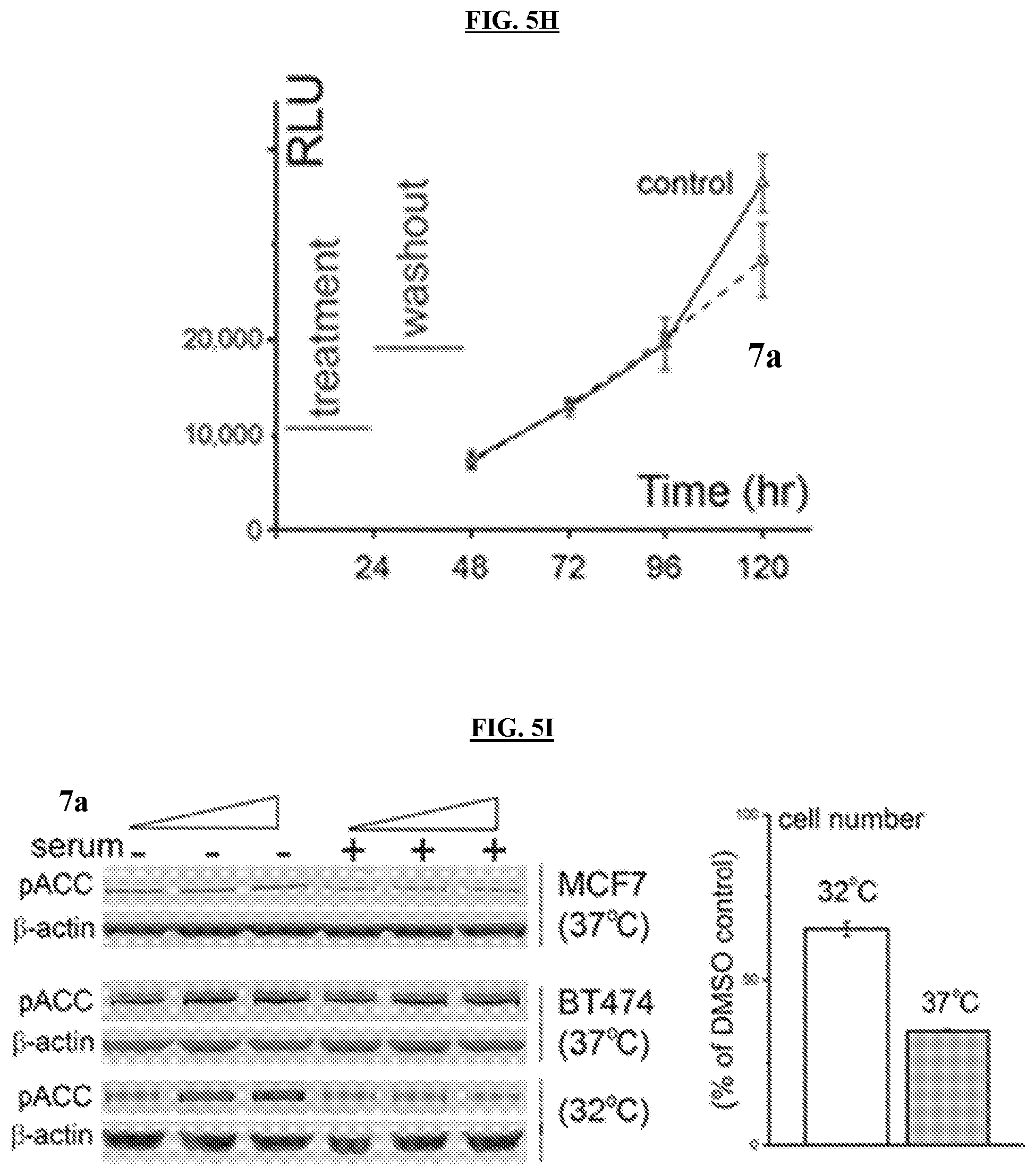 Patent US11773096 Figure 13 – Small-molecule PI5P4K alpha/beta inhibitors and methods of treatment using same