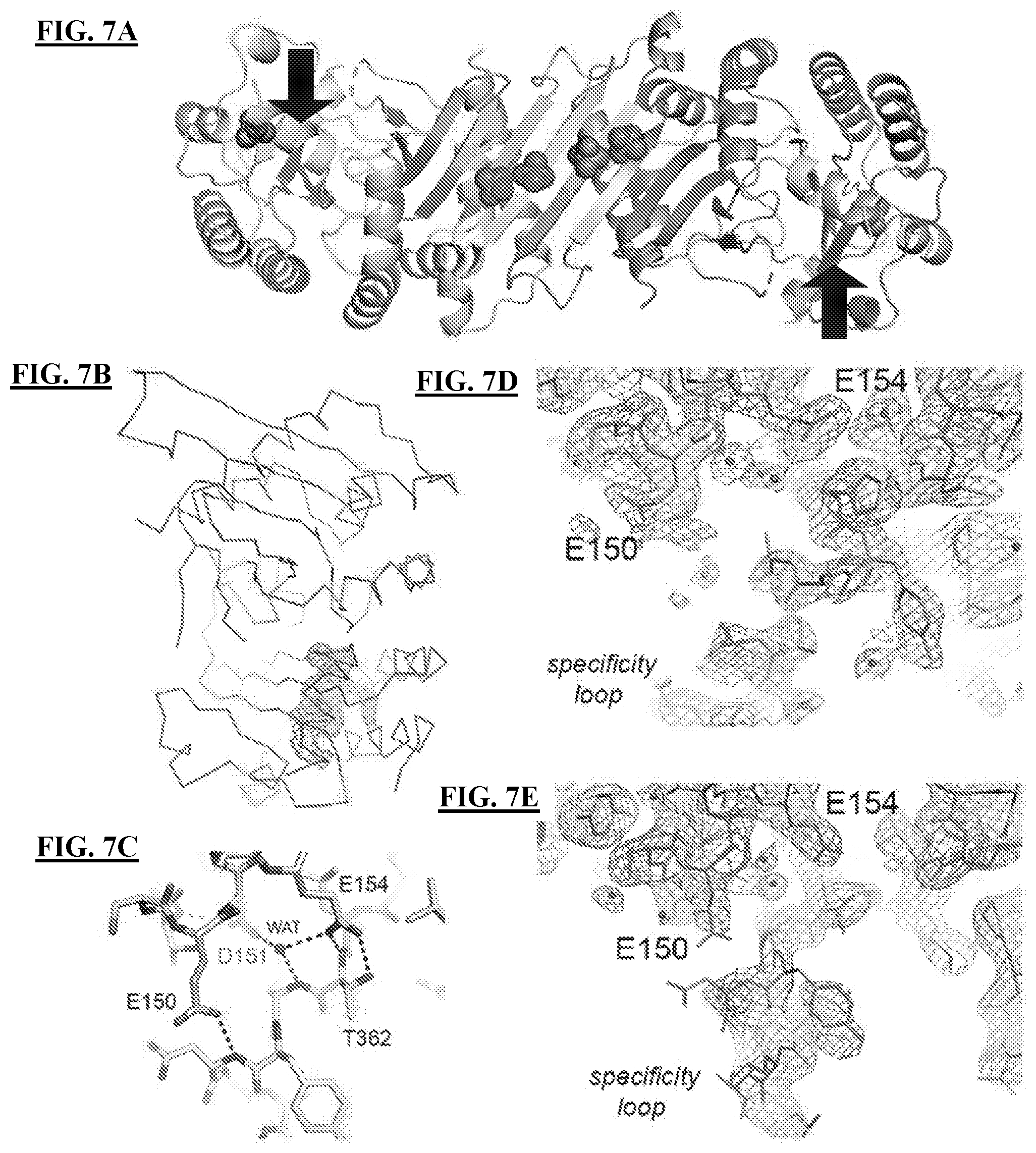 Patent US11773096 Figure 15 – Small-molecule PI5P4K alpha/beta inhibitors and methods of treatment using same