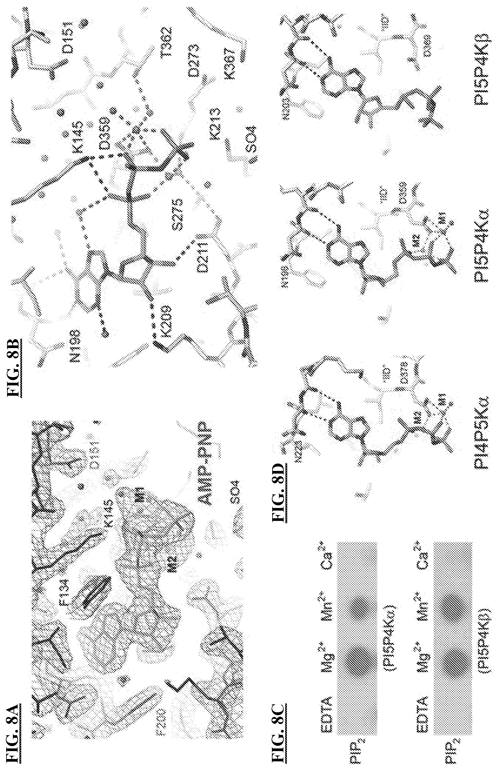 Patent US11773096 Figure 16 – Small-molecule PI5P4K alpha/beta inhibitors and methods of treatment using same