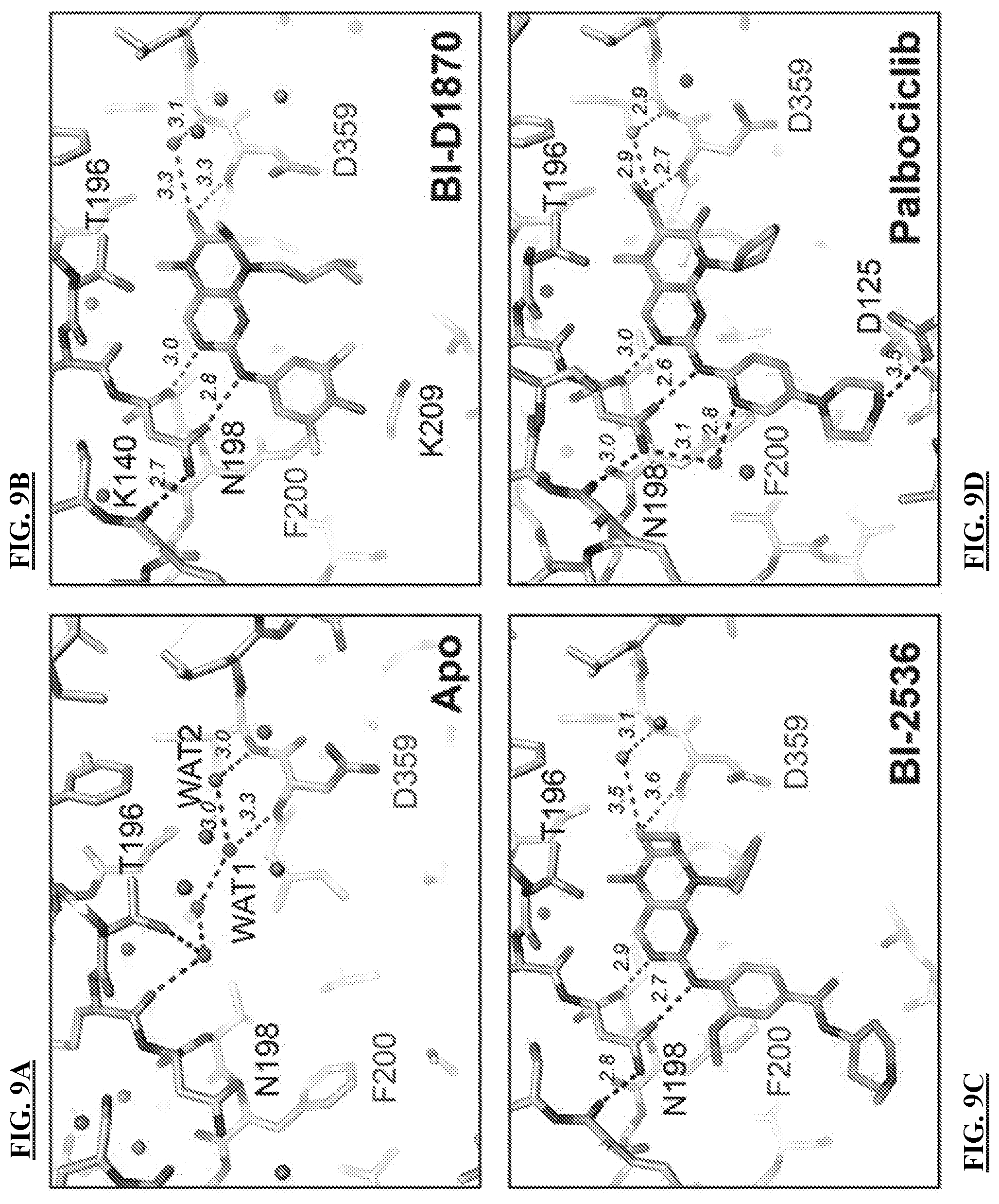 Patent US11773096 Figure 17 – Small-molecule PI5P4K alpha/beta inhibitors and methods of treatment using same