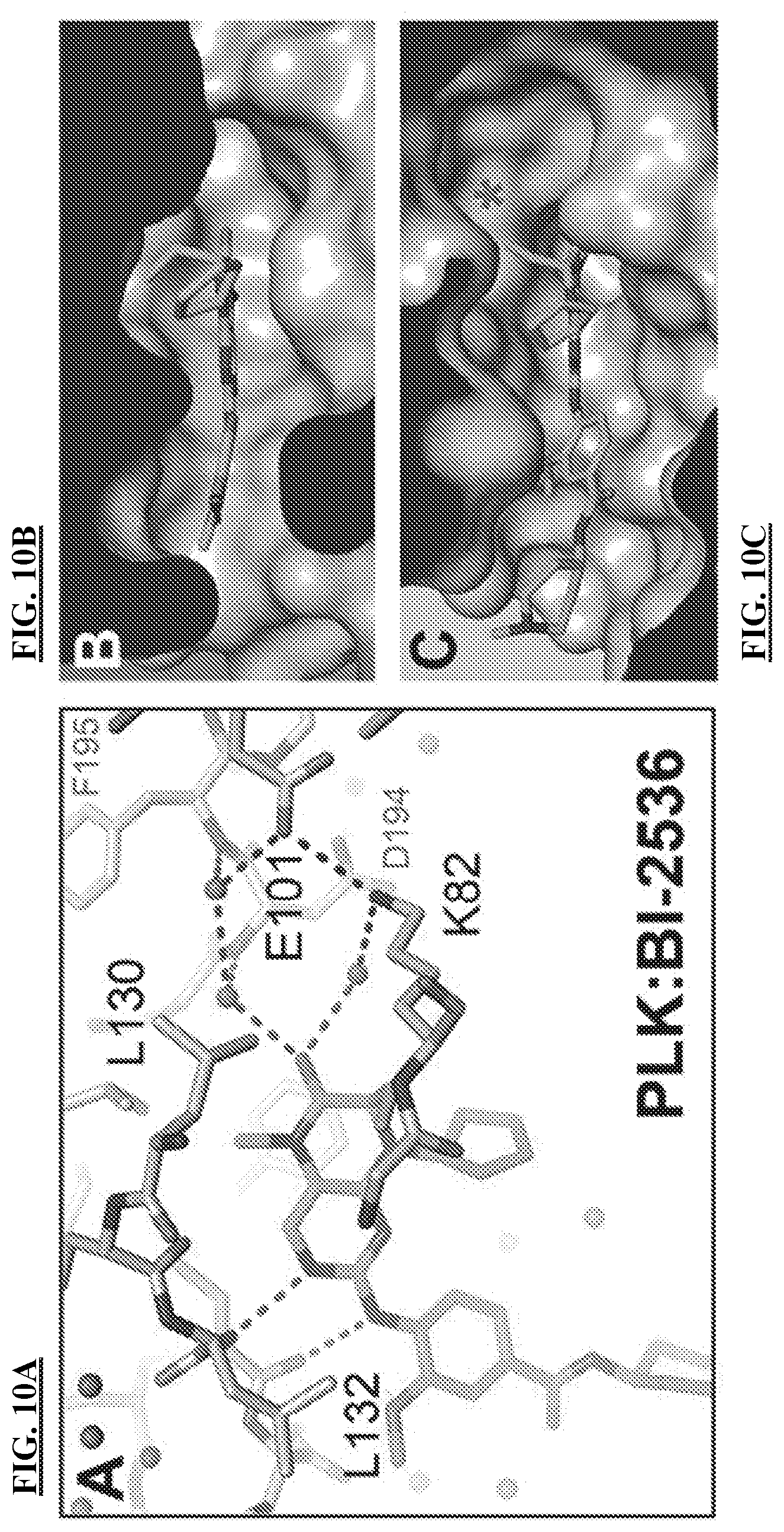 Patent US11773096 Figure 18 – Small-molecule PI5P4K alpha/beta inhibitors and methods of treatment using same
