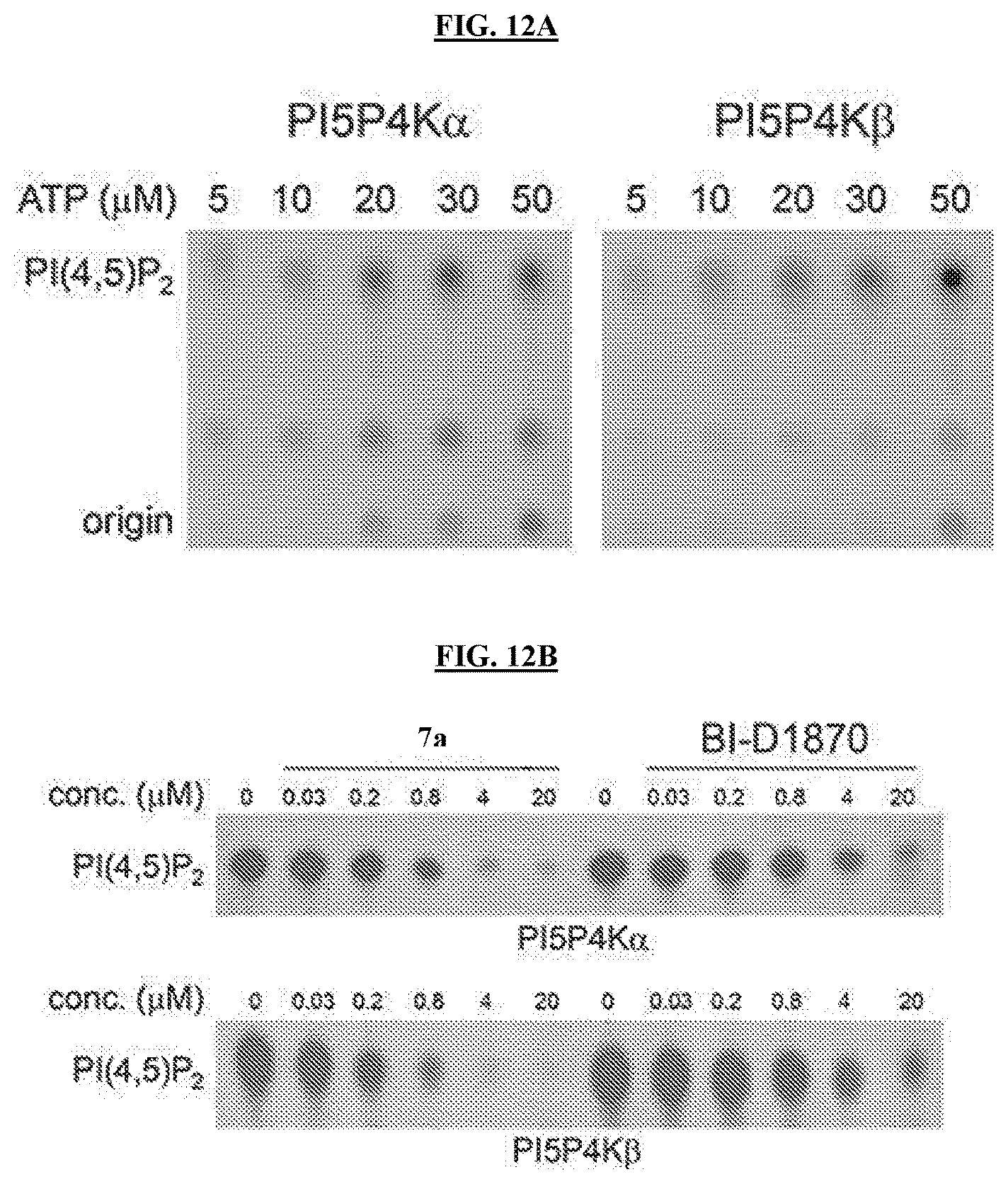 Patent US11773096 Figure 20 – Small-molecule PI5P4K alpha/beta inhibitors and methods of treatment using same