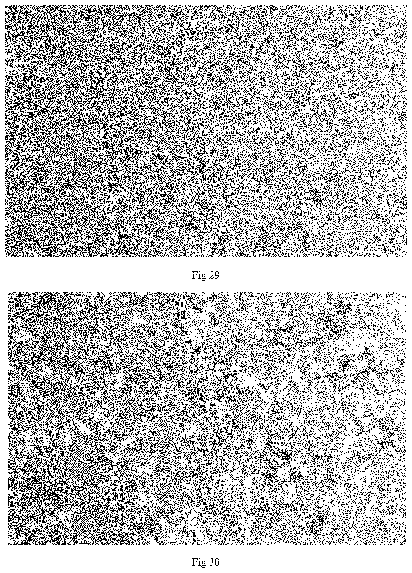 Patent US11773113 Figure 15 – Crystal forms of crisaborole in free form and preparation method and use thereof
