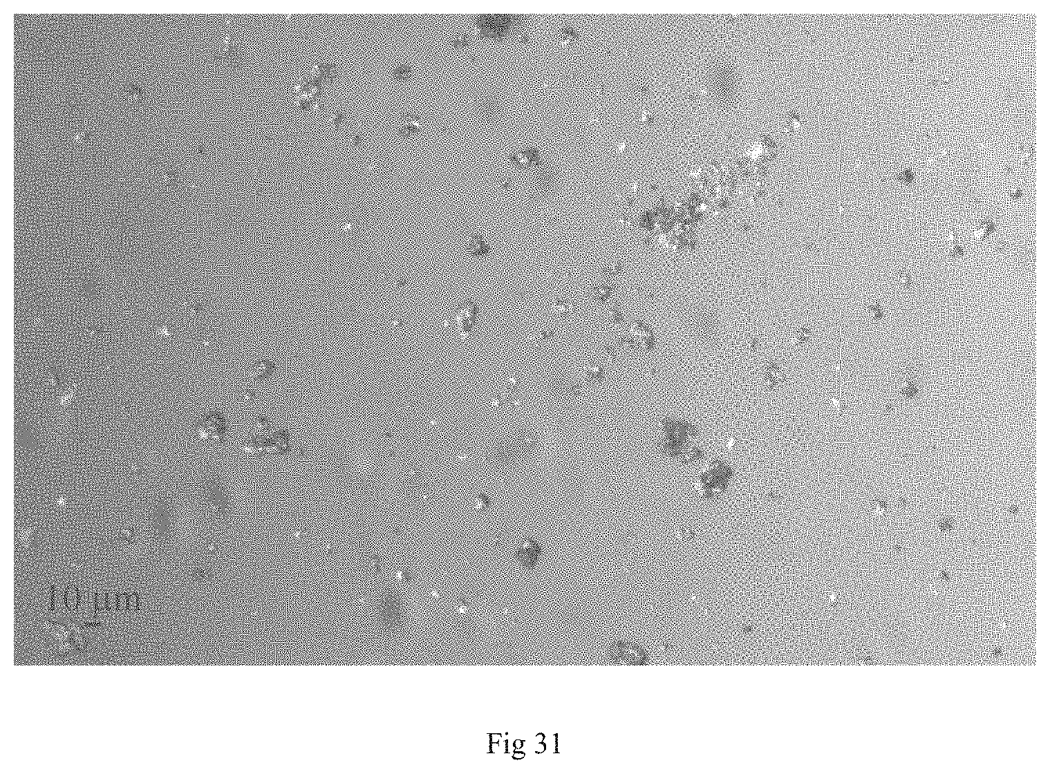 Patent US11773113 Figure 16 – Crystal forms of crisaborole in free form and preparation method and use thereof