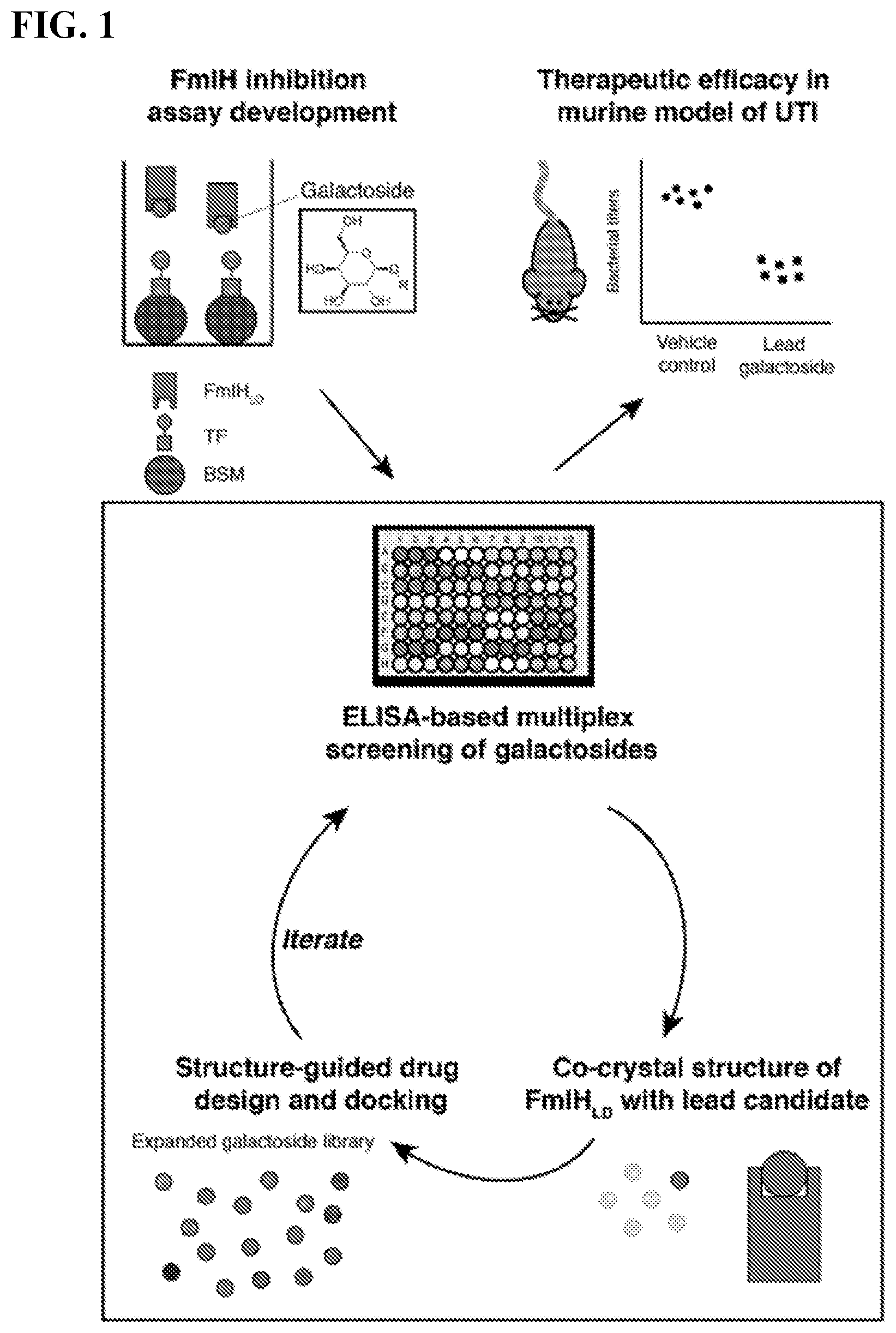 Patent US11773127 Figure 1 – Compounds and methods for treating bacterial infections