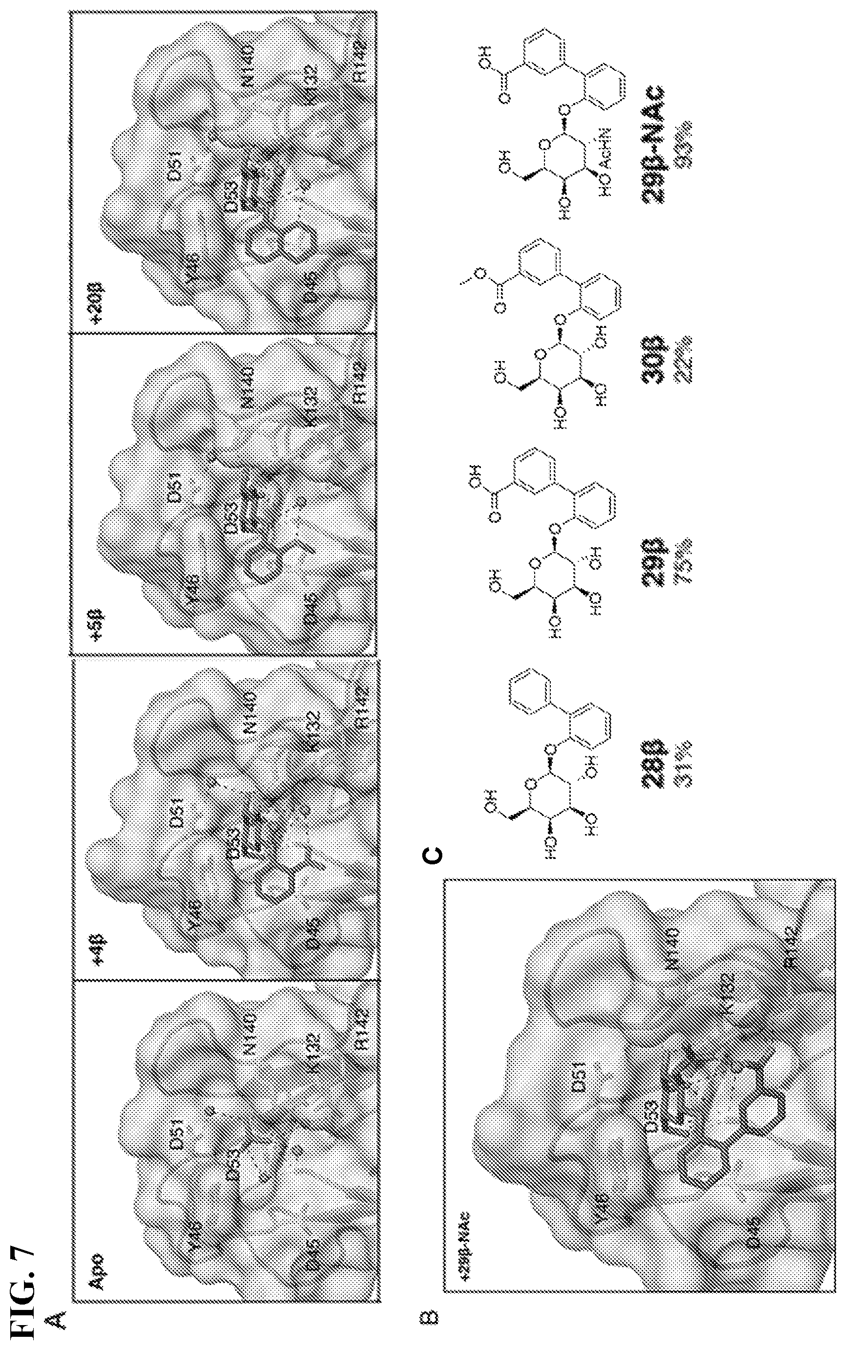 Patent US11773127 Figure 7 – Compounds and methods for treating bacterial infections