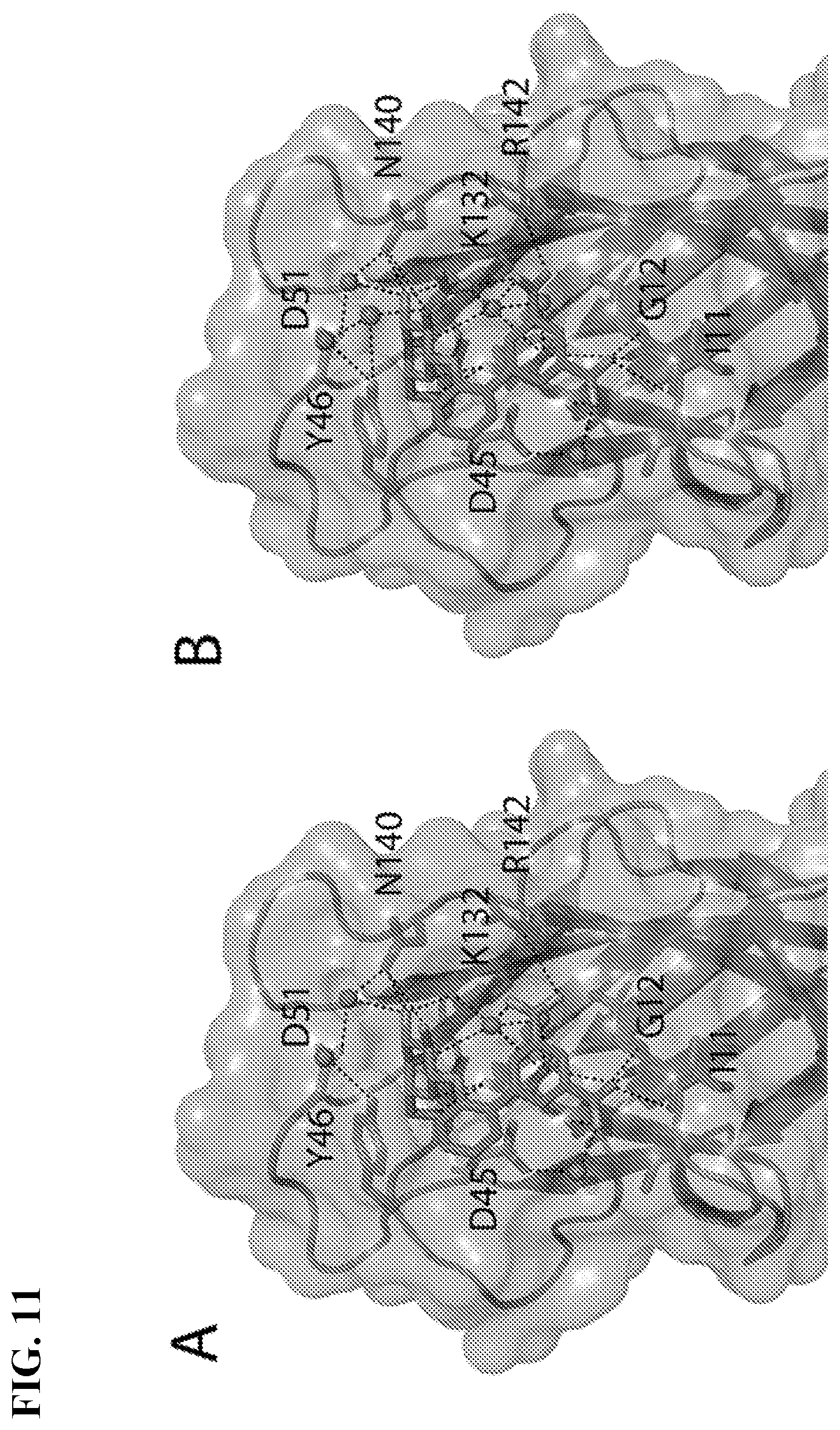 Patent US11773127 Figure 11 – Compounds and methods for treating bacterial infections
