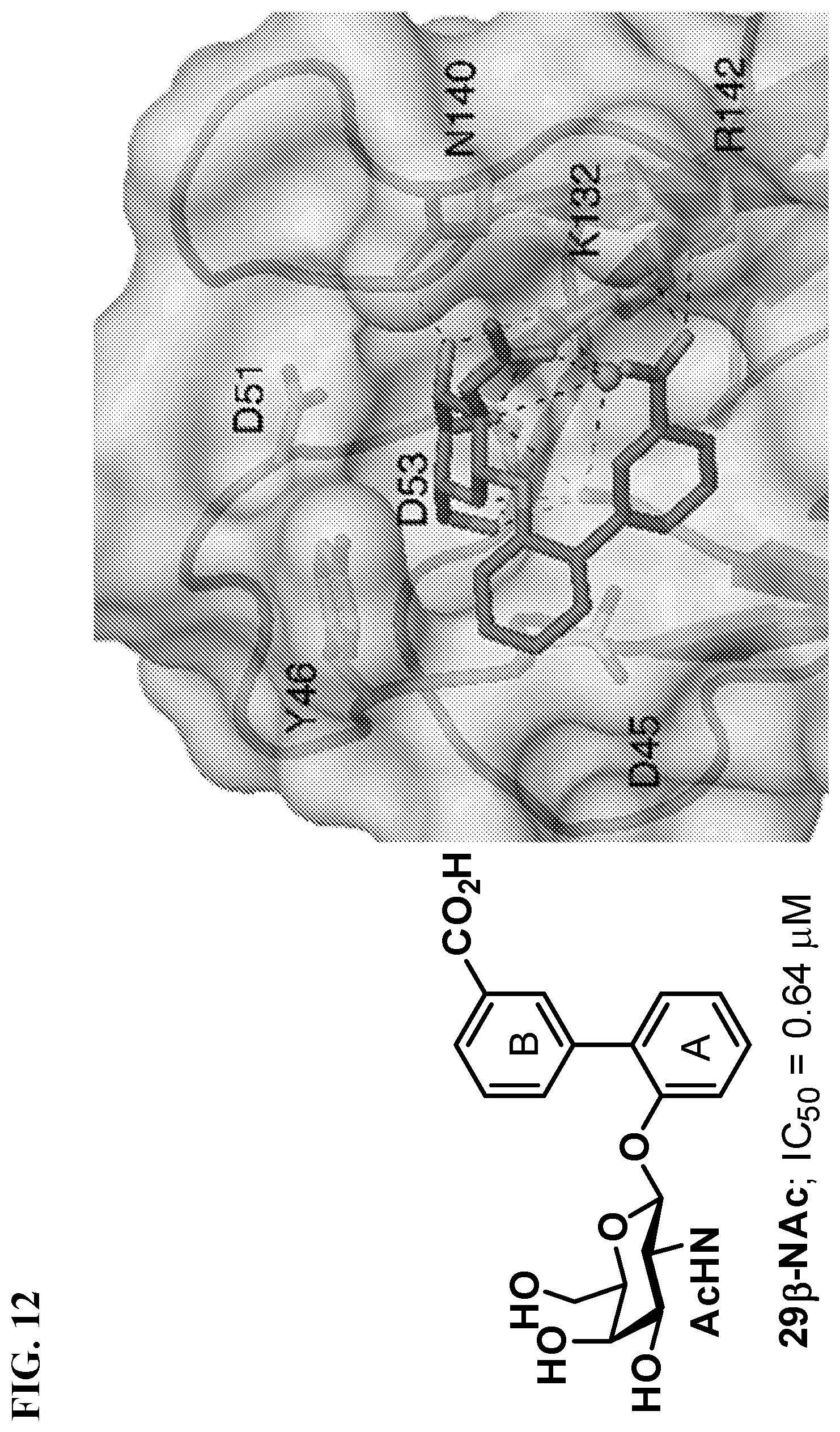 Patent US11773127 Figure 12 – Compounds and methods for treating bacterial infections