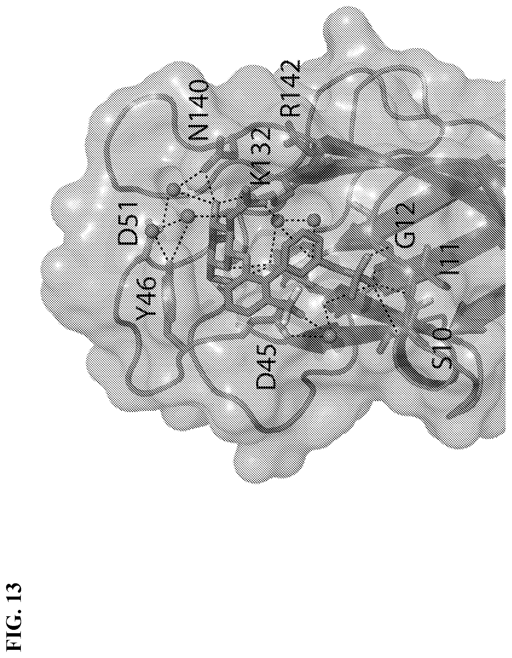 Patent US11773127 Figure 13 – Compounds and methods for treating bacterial infections