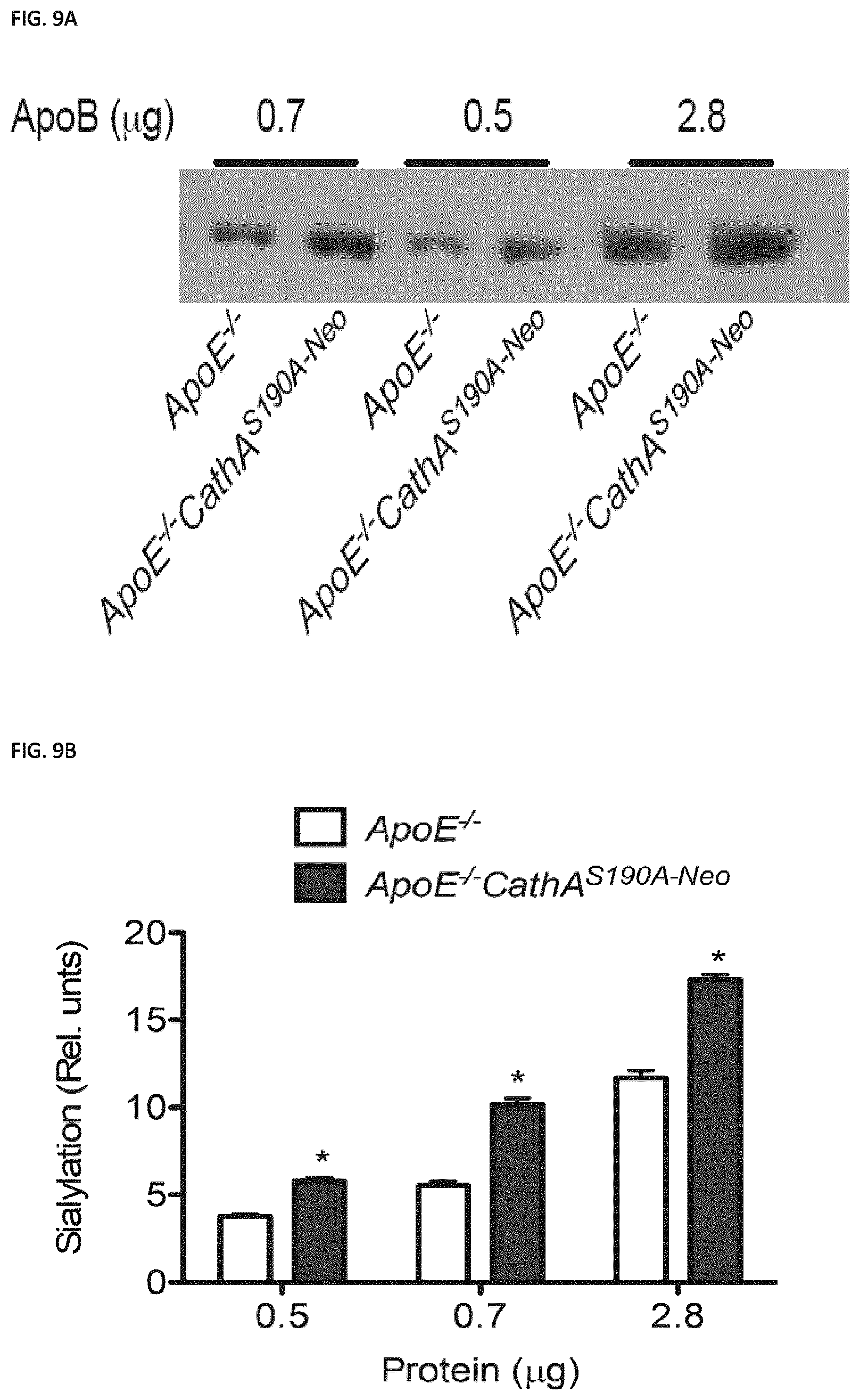 Patent US11773129 Figure 16 – Methods of preventing or treating atherosclerosis with inhibitors of specific isoenzymes of human neuraminidase