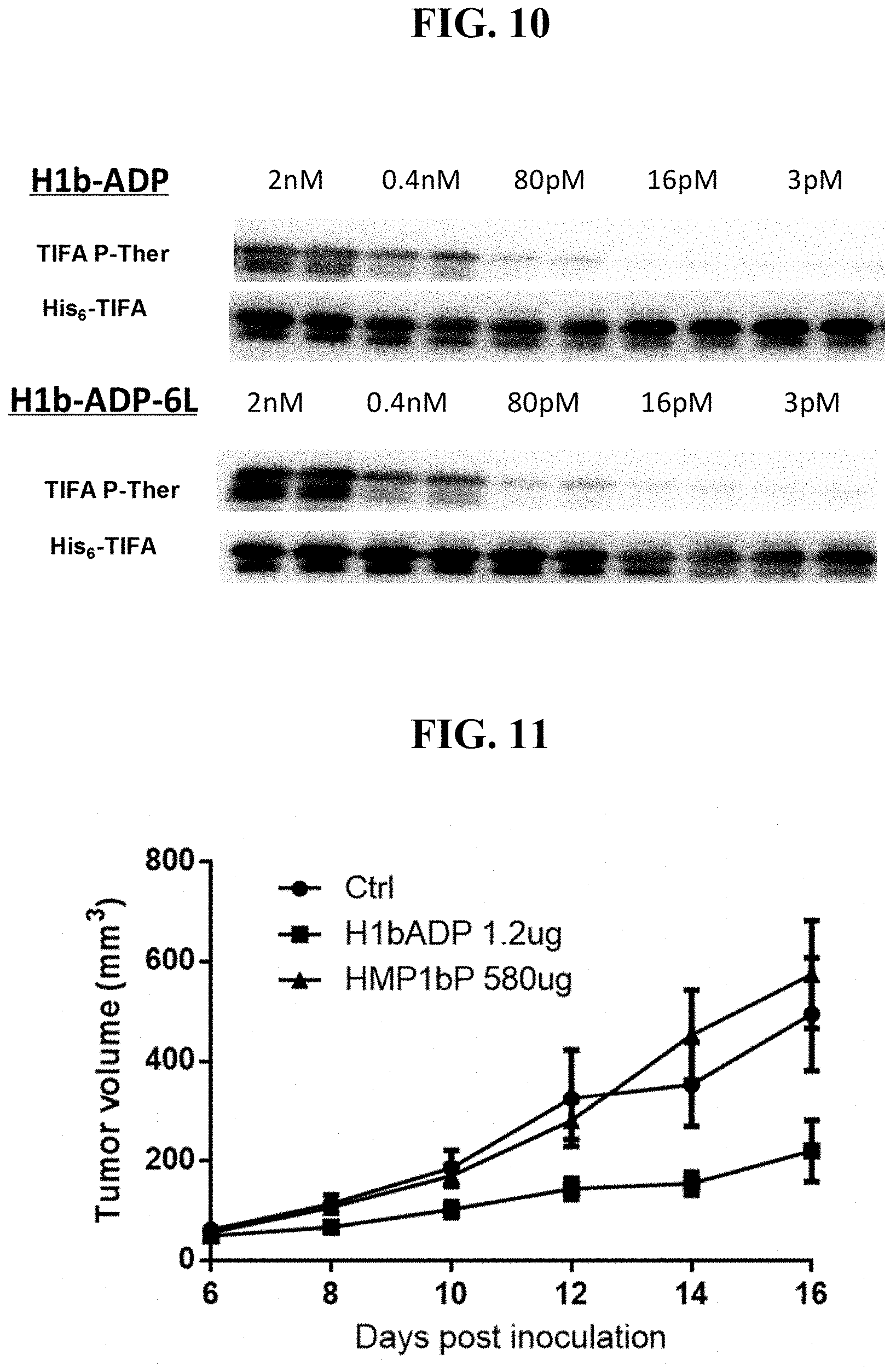 Patent US11773131 Figure 9 – Compositions and methods of modulating the immune response by activating alpha protein kinase 1