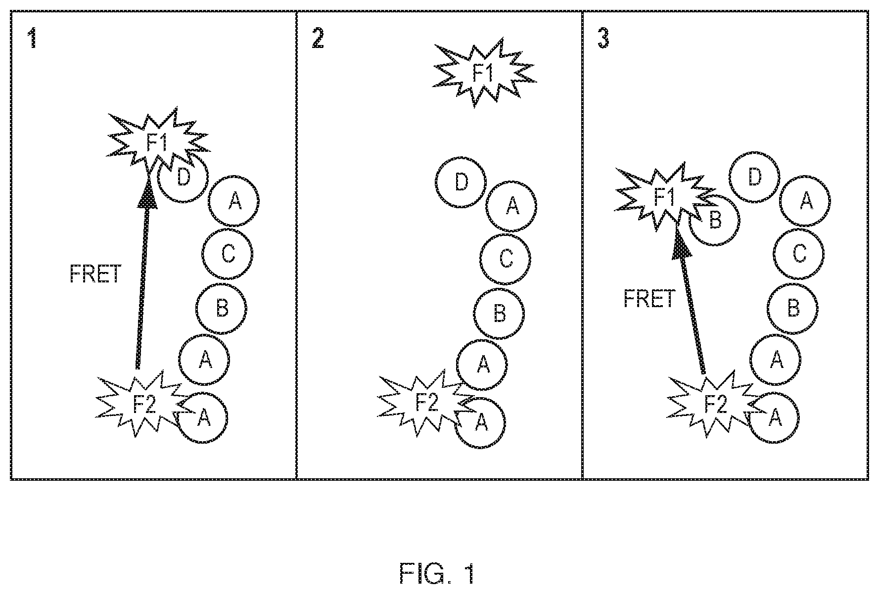 Patent US11773133 Figure 1 – Optically verified polymer synthesis