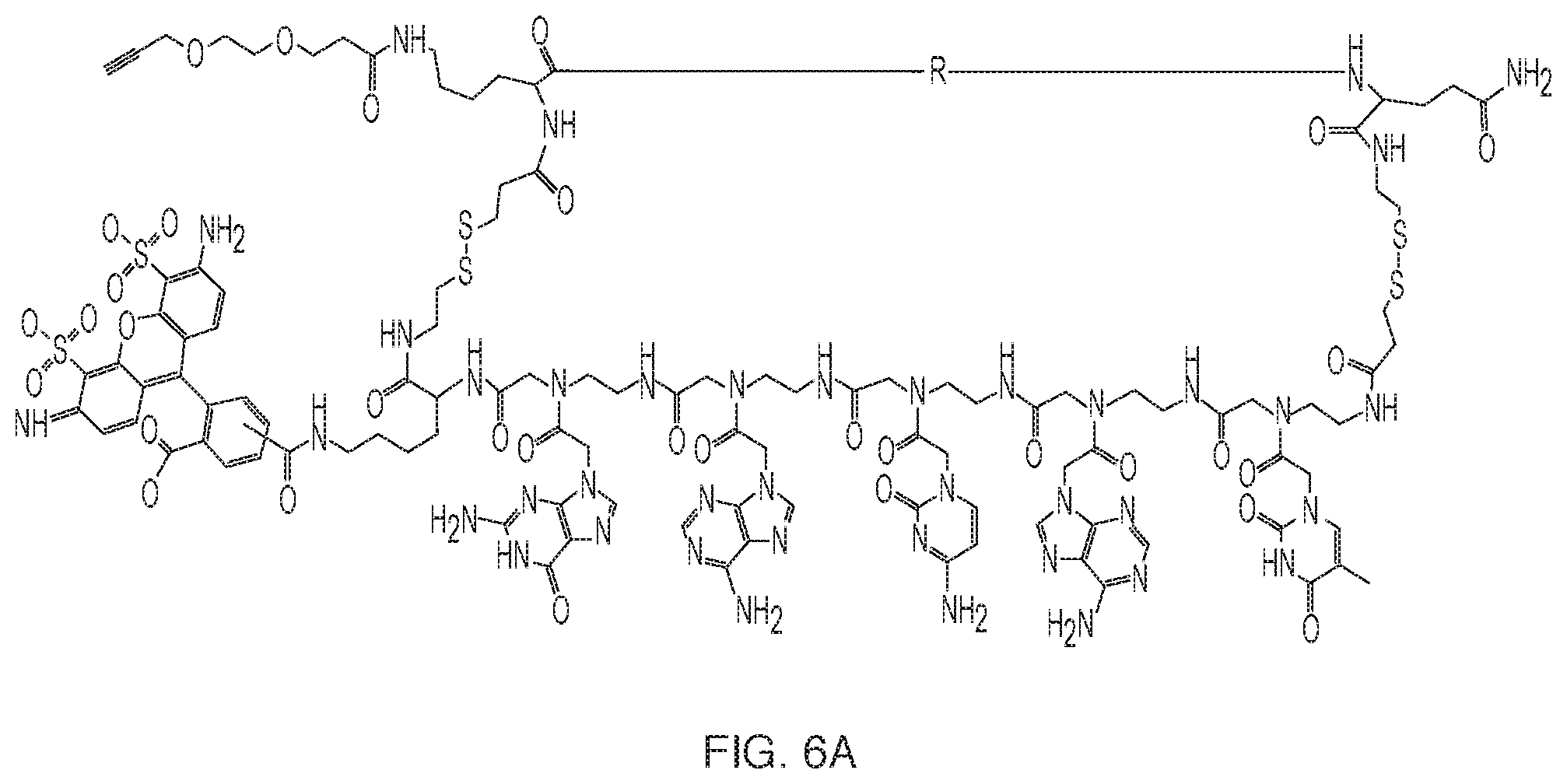 Patent US11773133 Figure 6 – Optically verified polymer synthesis