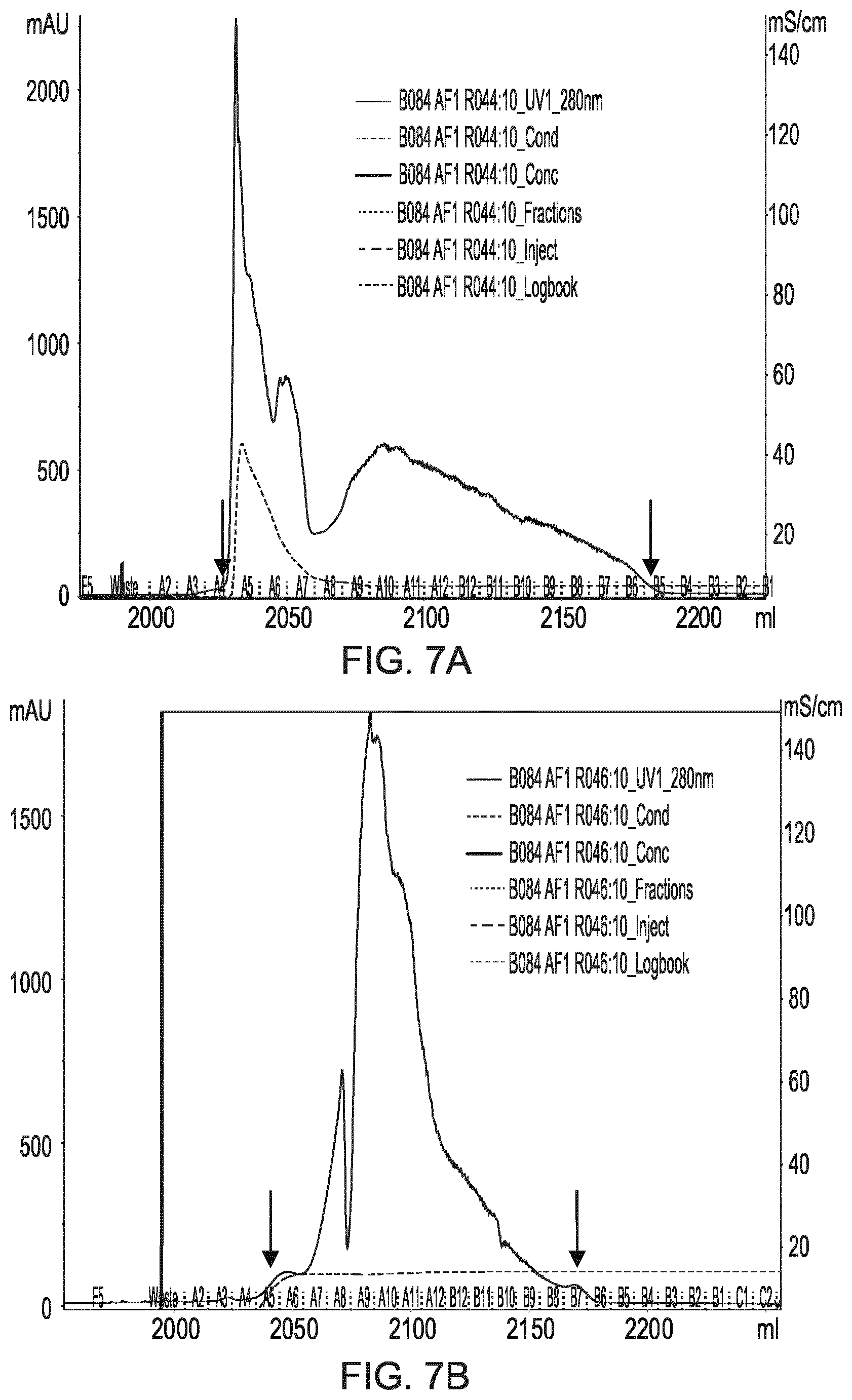 Patent US11773134 Figure 8 – Process of manufacture of annexin V
