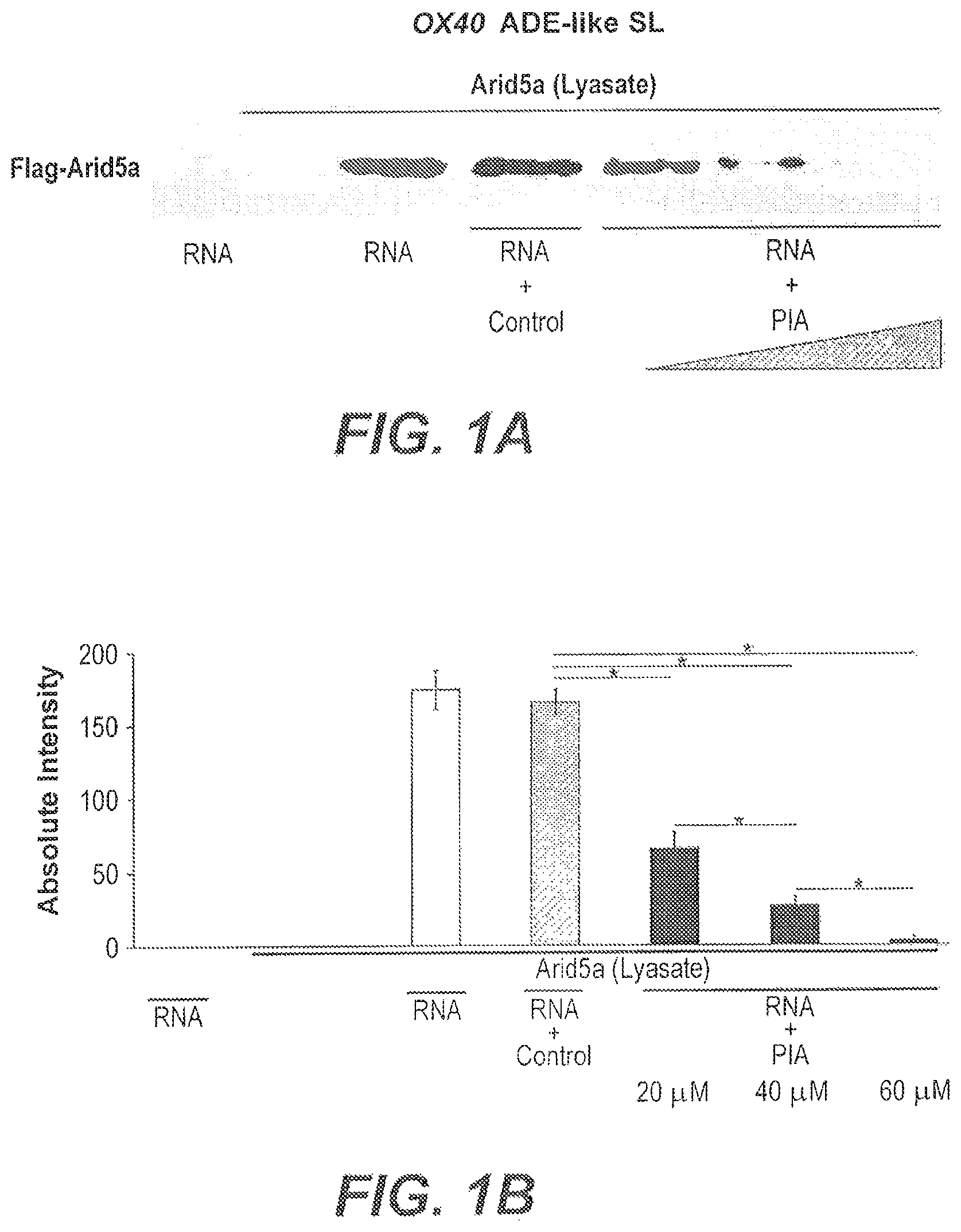 Patent US11773137 Figure 1 – Arid5a peptide inhibitors