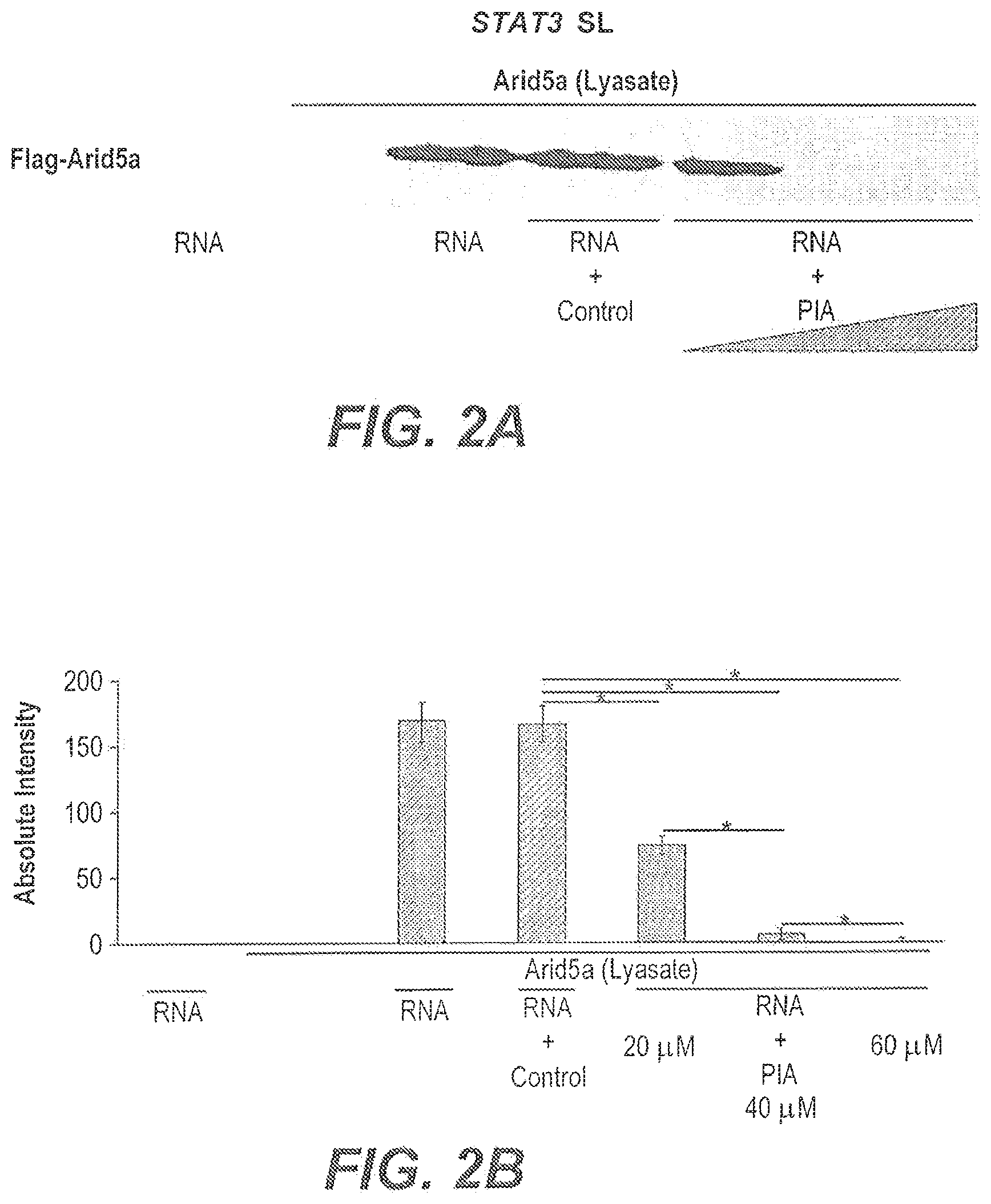 Patent US11773137 Figure 2 – Arid5a peptide inhibitors