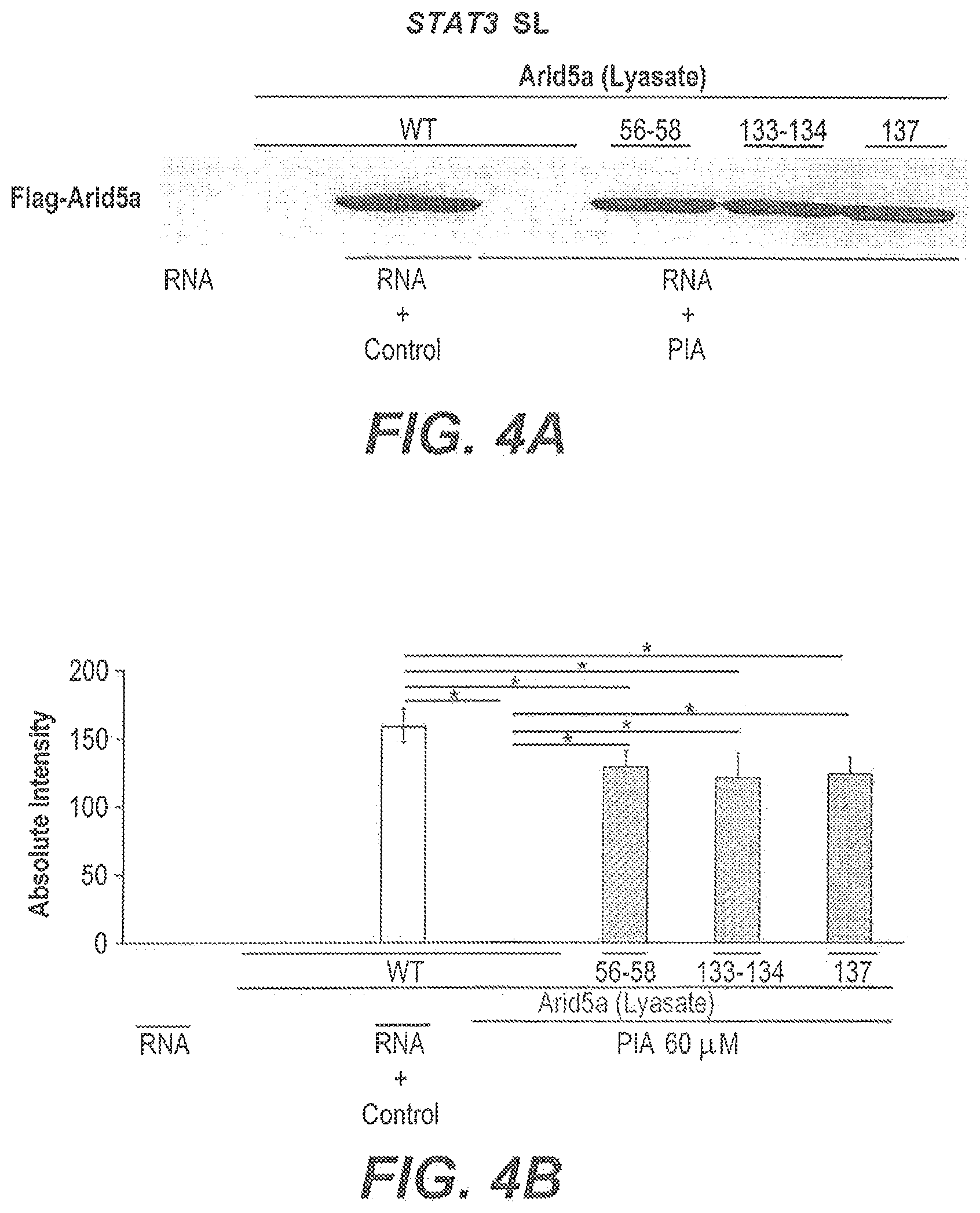 Patent US11773137 Figure 4 – Arid5a peptide inhibitors