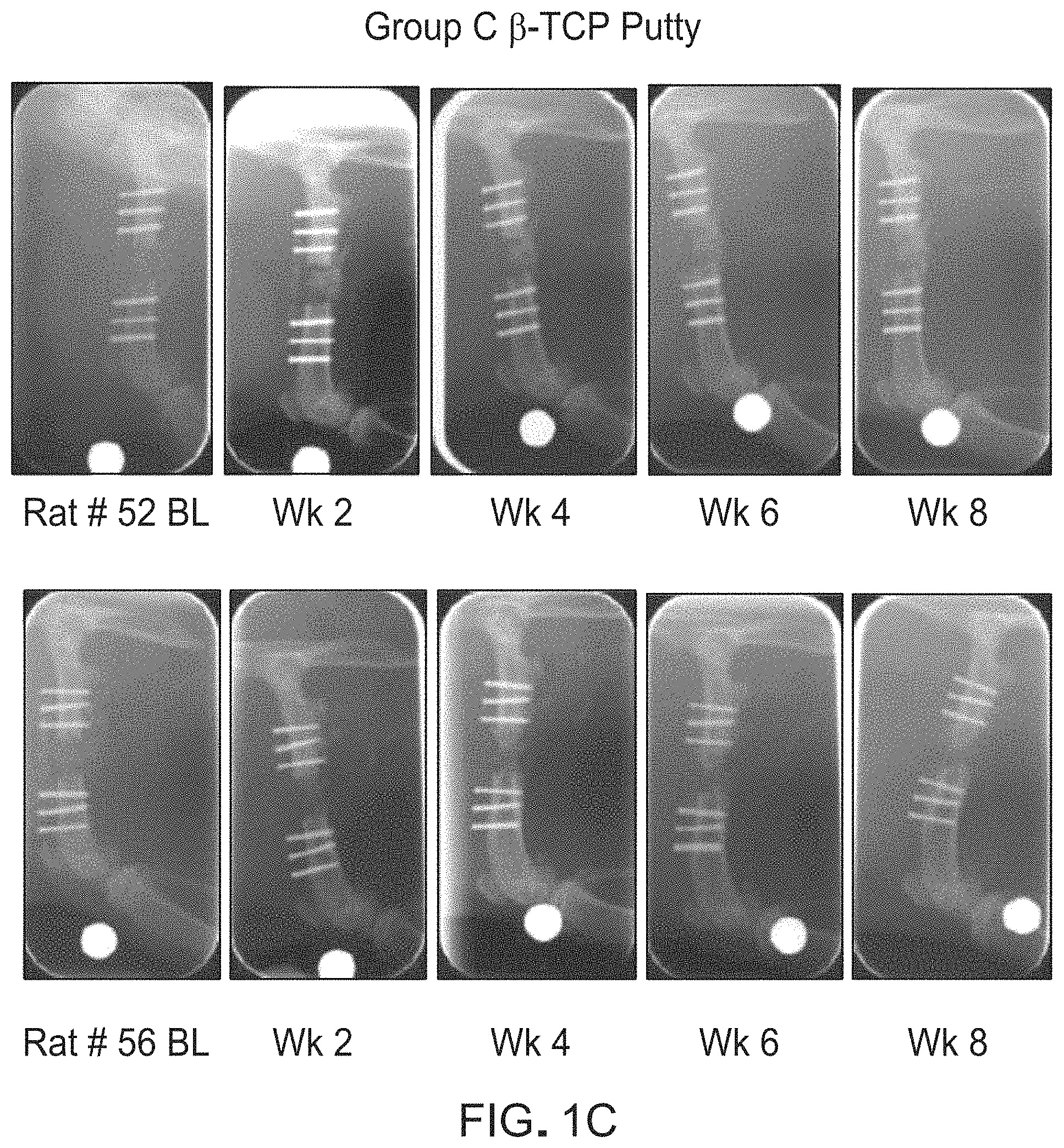 Patent US11773138 Figure 3 – Polypeptides including a beta-tricalcium phosphate-binding sequence and uses thereof
