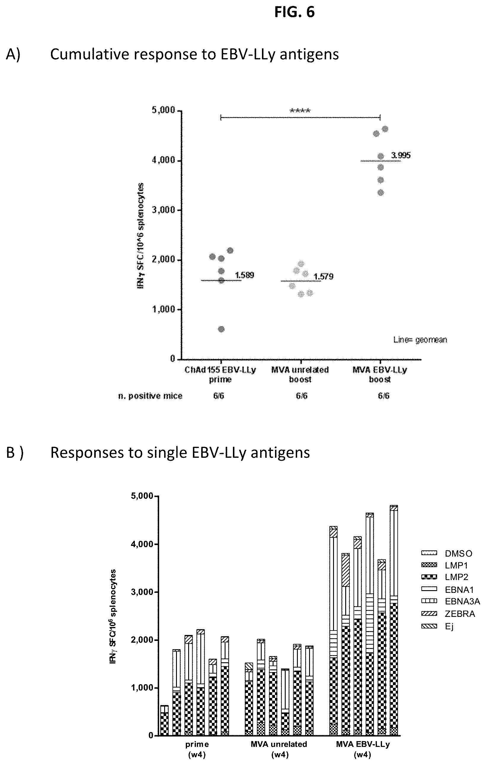 Patent US11773139 Figure 6 – Epstein-barr virus antigen constructs