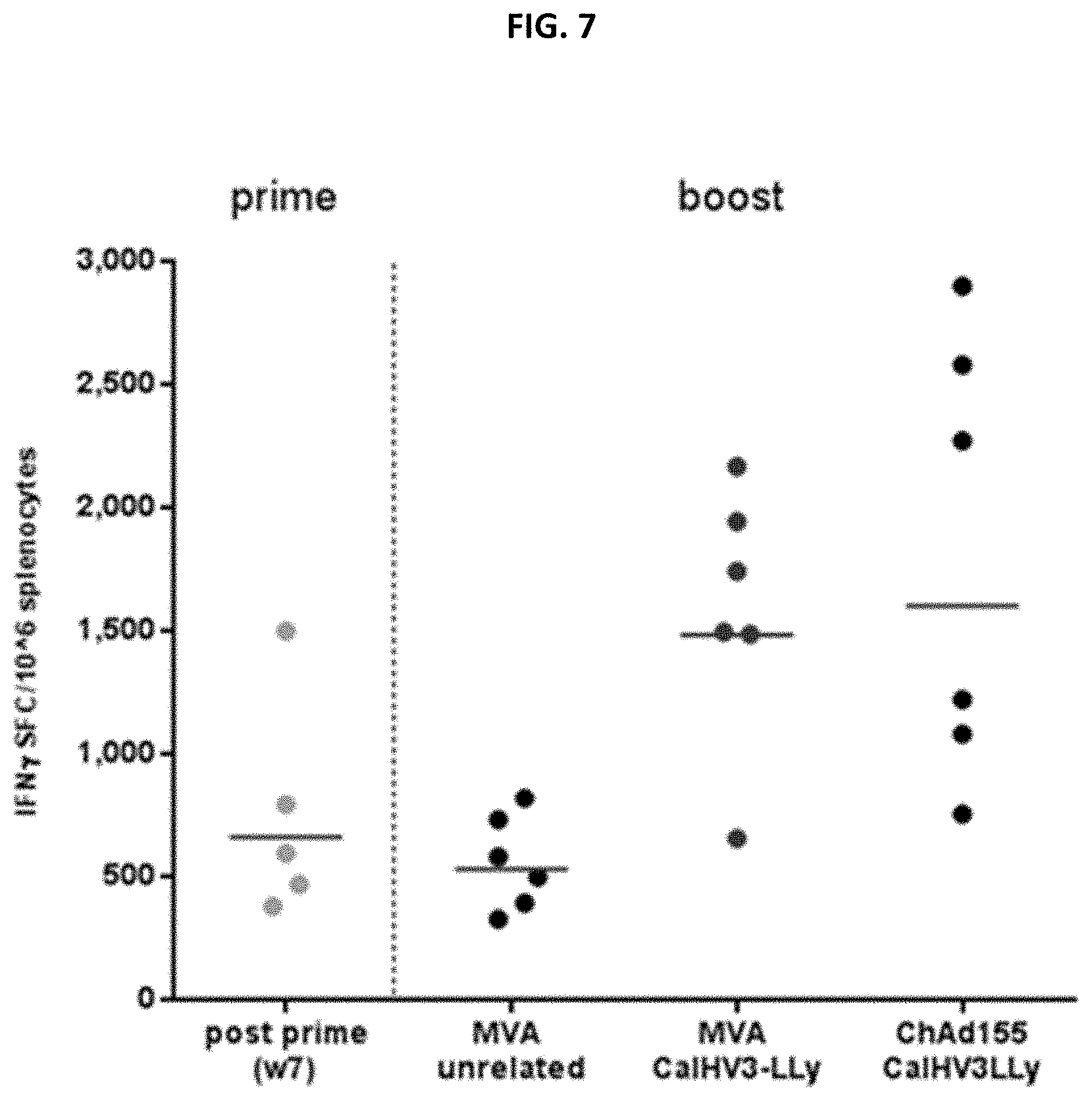 Patent US11773139 Figure 7 – Epstein-barr virus antigen constructs