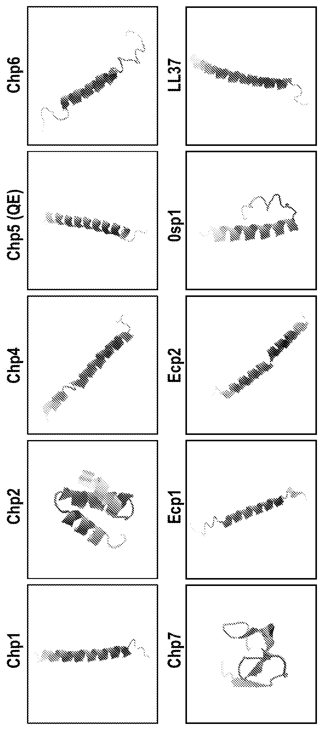 Patent US11773140 Figure 1 – Gram-negative lysin-antimicrobial peptide (AMP) polypeptide constructs, lysins, isolated polynucleotides encoding same and uses thereof in human serum