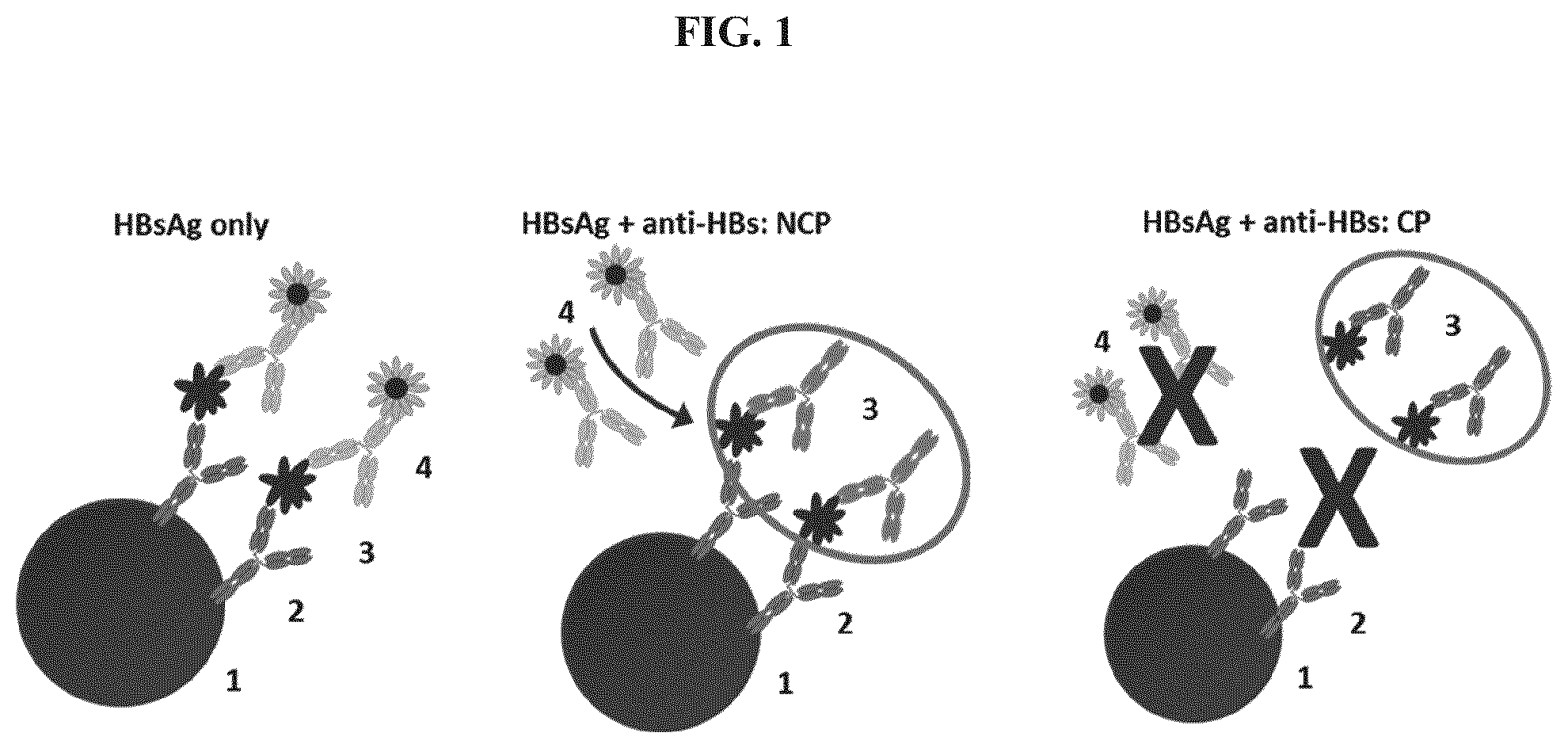 Patent US11773141 Figure 1 – Methods and compositions for the treatment of hepatitis B infection