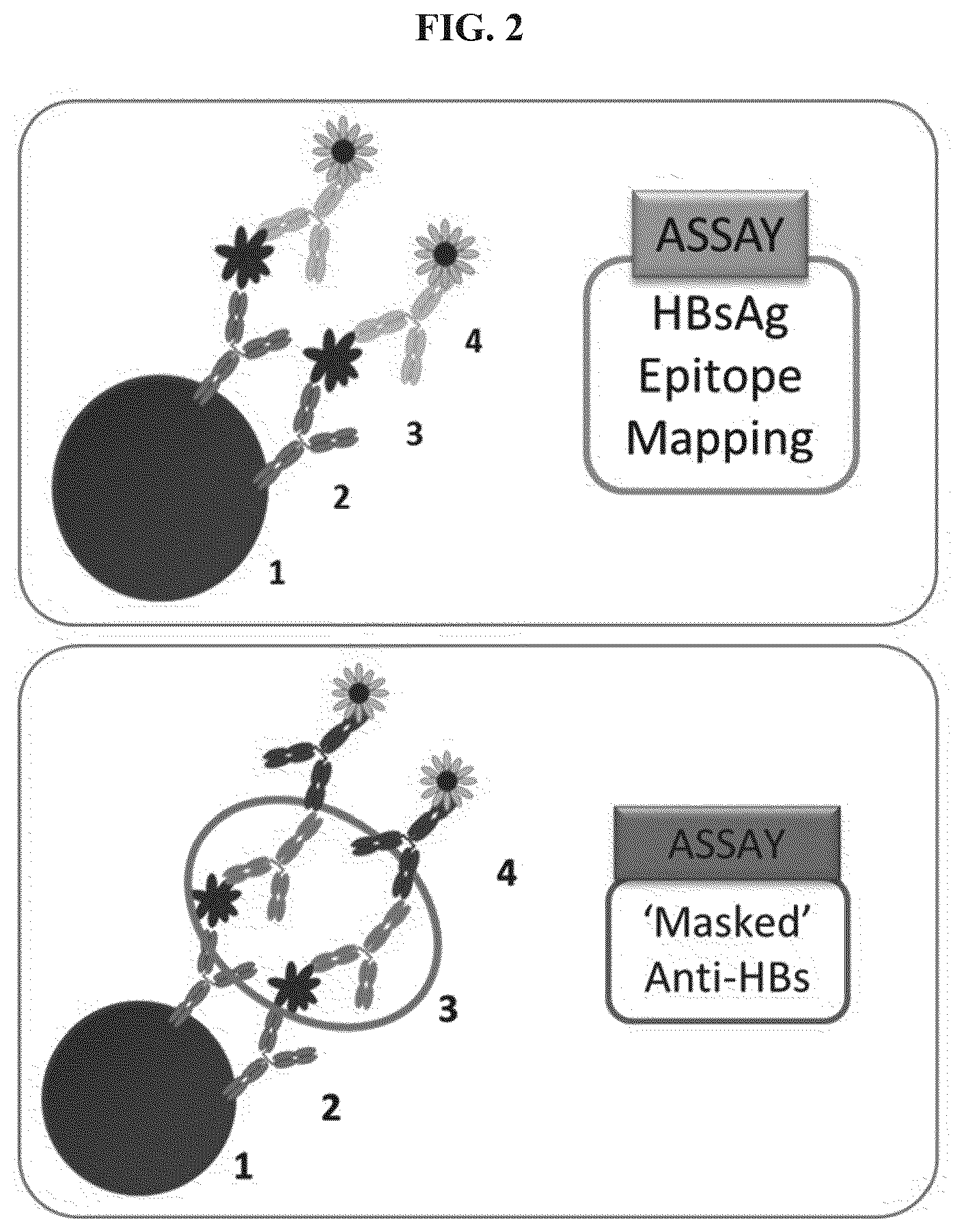 Patent US11773141 Figure 2 – Methods and compositions for the treatment of hepatitis B infection