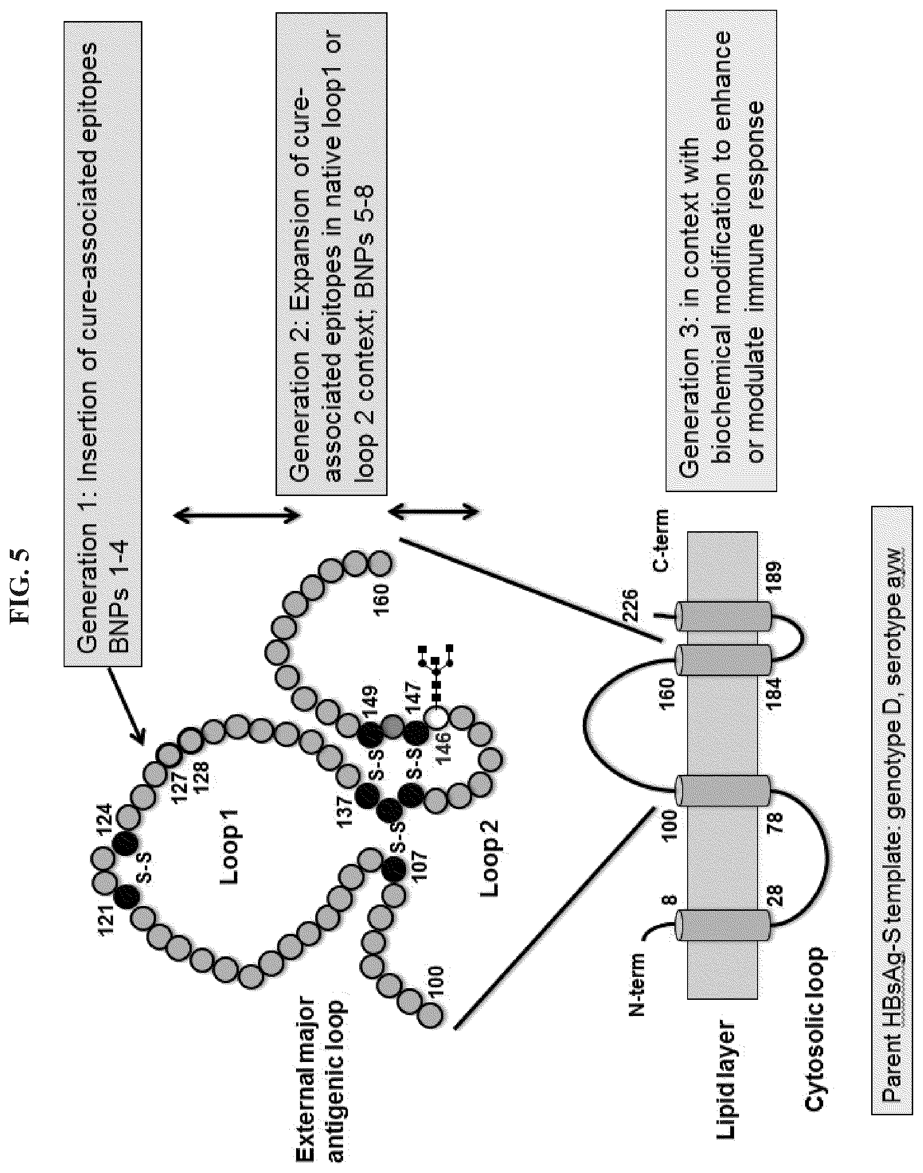 Patent US11773141 Figure 4 – Methods and compositions for the treatment of hepatitis B infection
