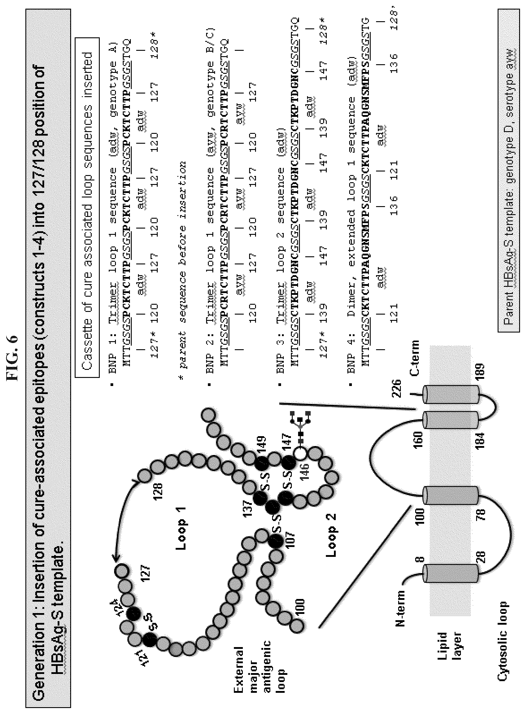 Patent US11773141 Figure 5 – Methods and compositions for the treatment of hepatitis B infection
