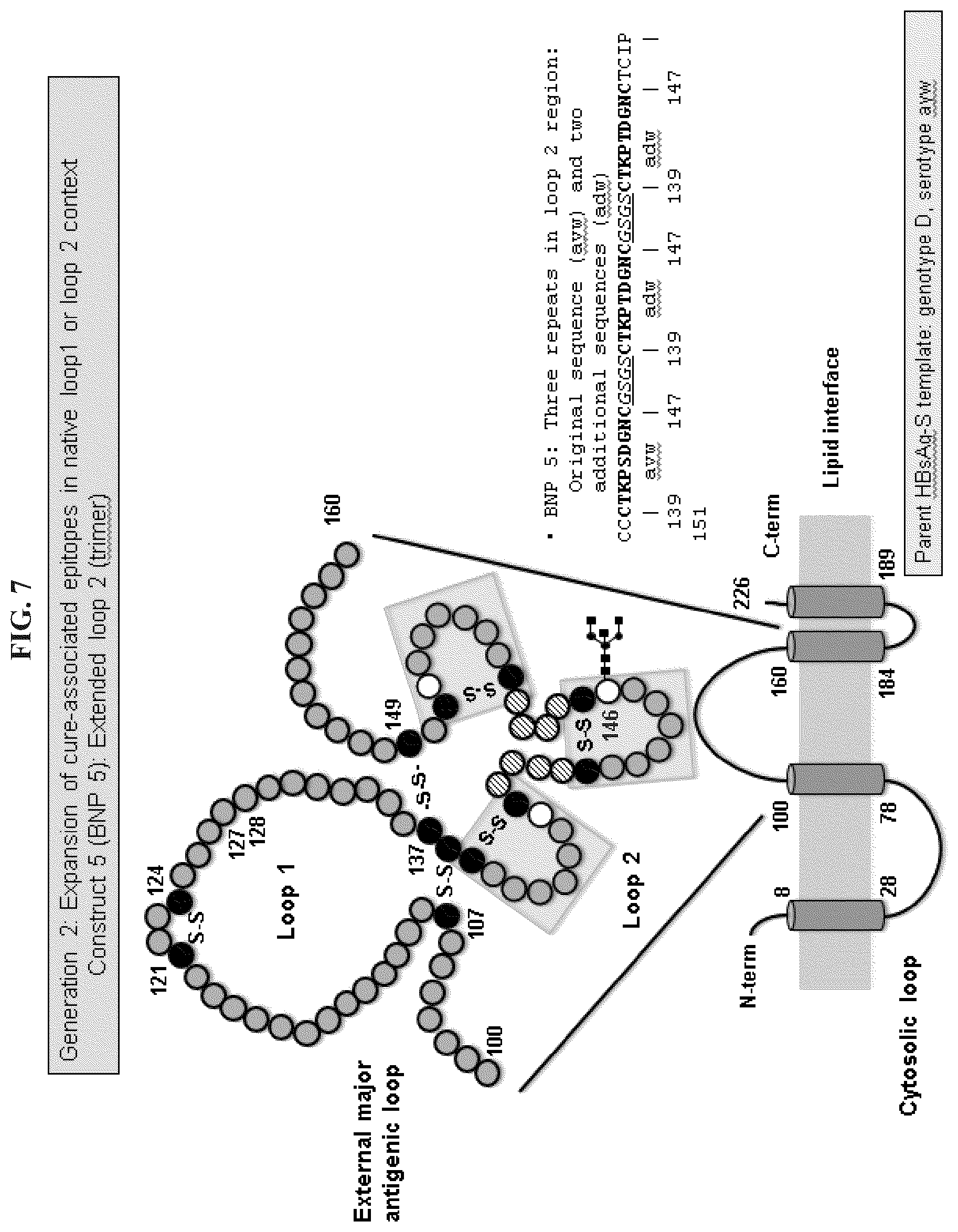 Patent US11773141 Figure 6 – Methods and compositions for the treatment of hepatitis B infection